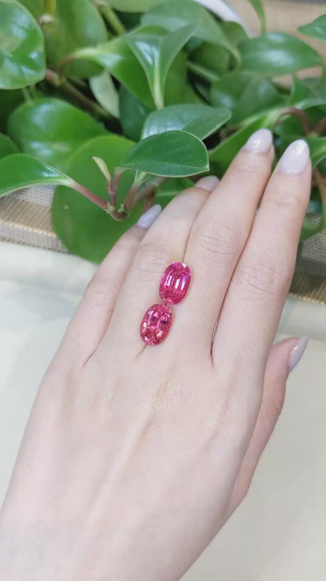 9.23&nbsp;Ct.Tw.Total Carat Weight Pinkish Red Rubellite Tourmaline Pair from Brazil Size Video
