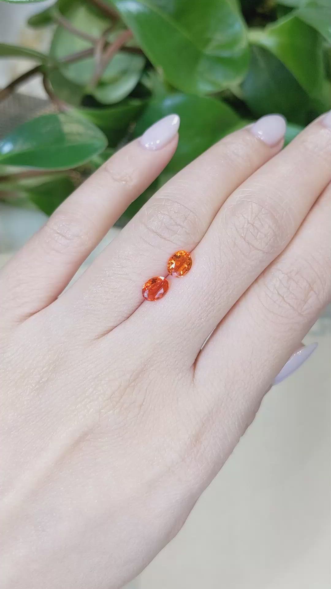 0.75 Ct.Tw.Total Carat Weight Opal Pair from Mexico Size Video