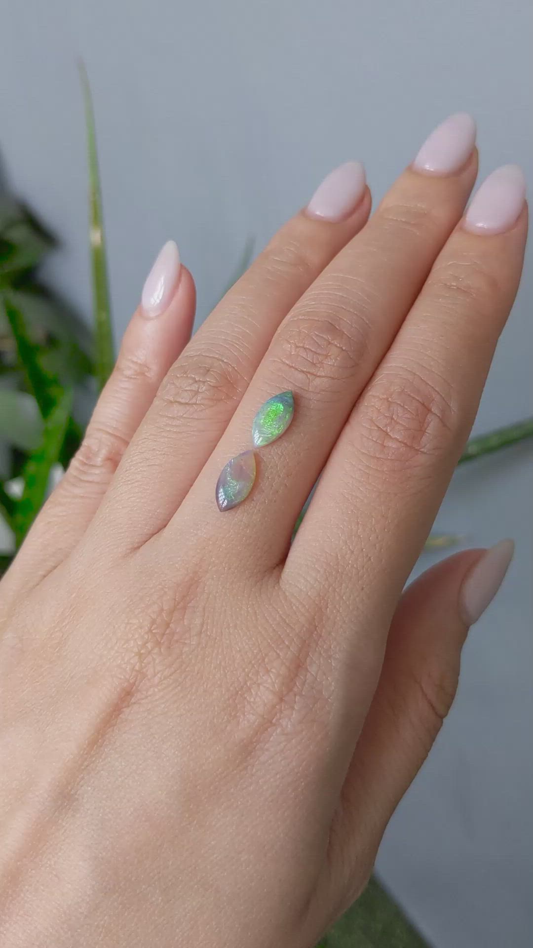 1.21&nbsp;Ct.Tw.Total Carat Weight Cabochon Opal Pair from Australia Size Video