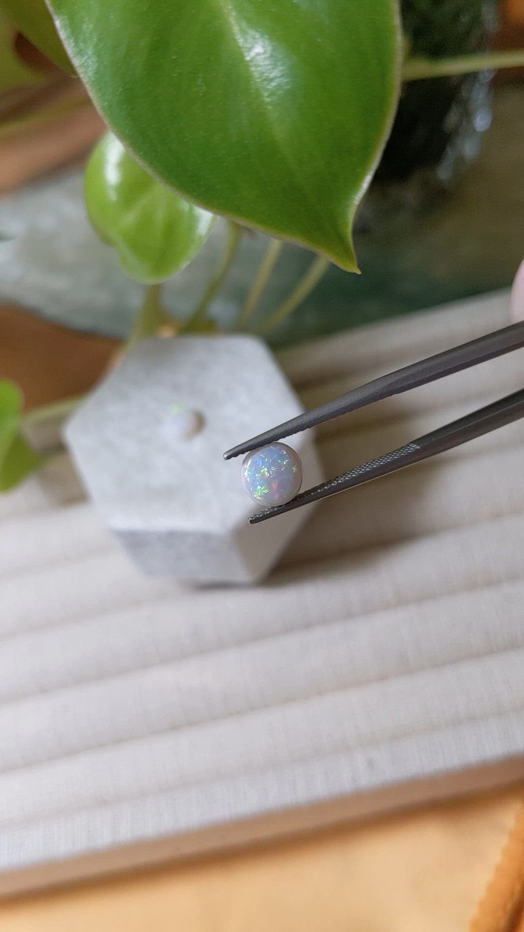 1.54&nbsp;Ct.Tw.Total Carat Weight Multi Color Cabochon Opal Pair from Australia Size Video