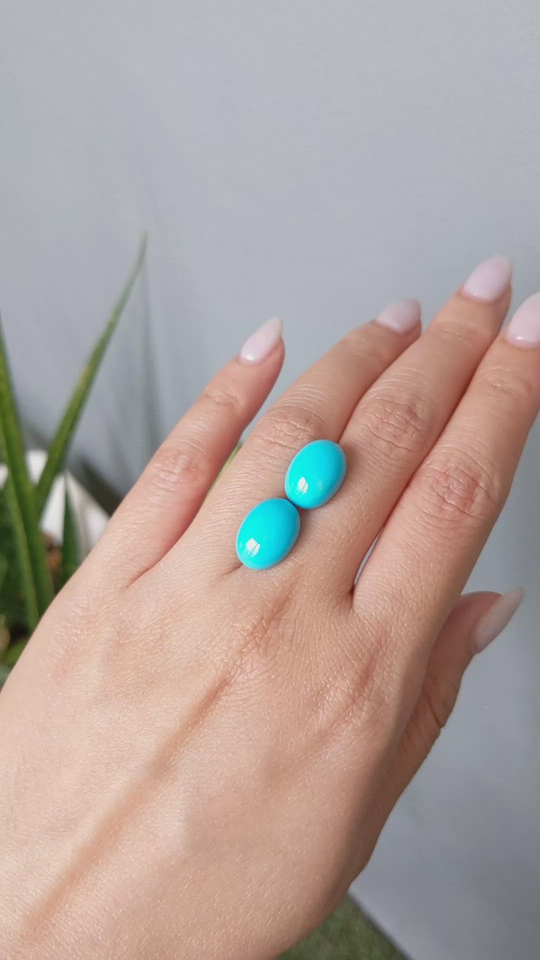 13.15&nbsp;Ct.Tw.Total Carat Weight Blue Cabochon Turquoise Pair from USA Size Video