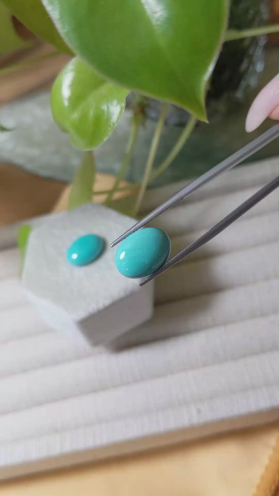 10.50&nbsp;Ct.Tw.Total Carat Weight Blue Cabochon Turquoise Pair from USA Size Video