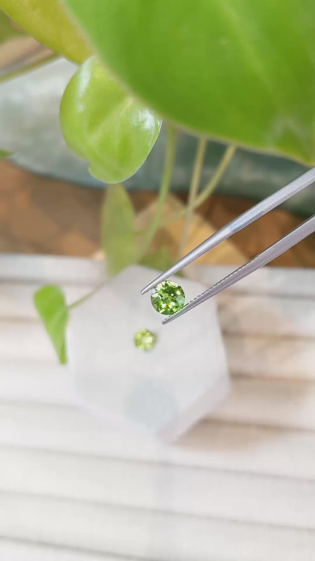 1.82 Ct.Tw.Total Carat Weight Yellowish Green Peridot Pair from Burma (Myanmar) Size Video