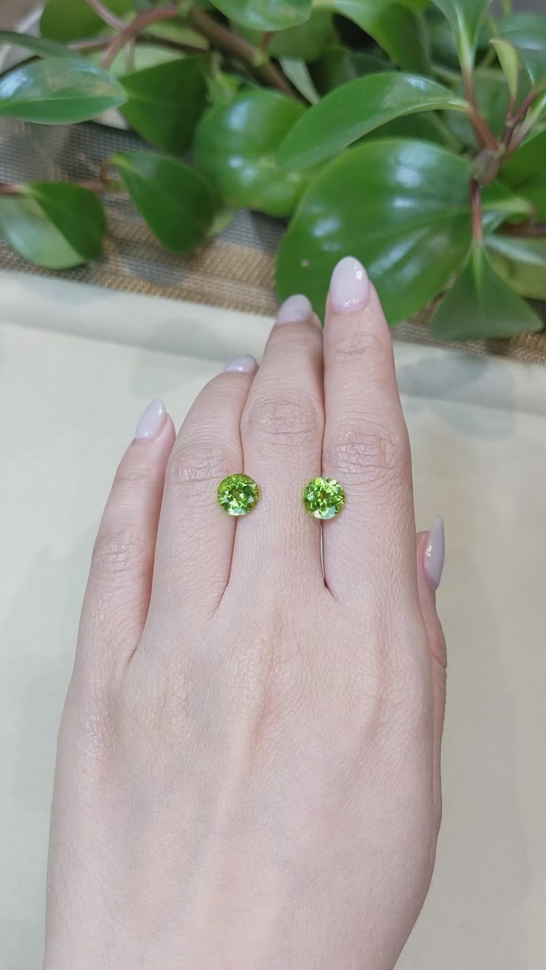 3.95&nbsp;Ct.Tw.Total Carat Weight Yellowish Green Peridot Pair from Burma (Myanmar) Size Video