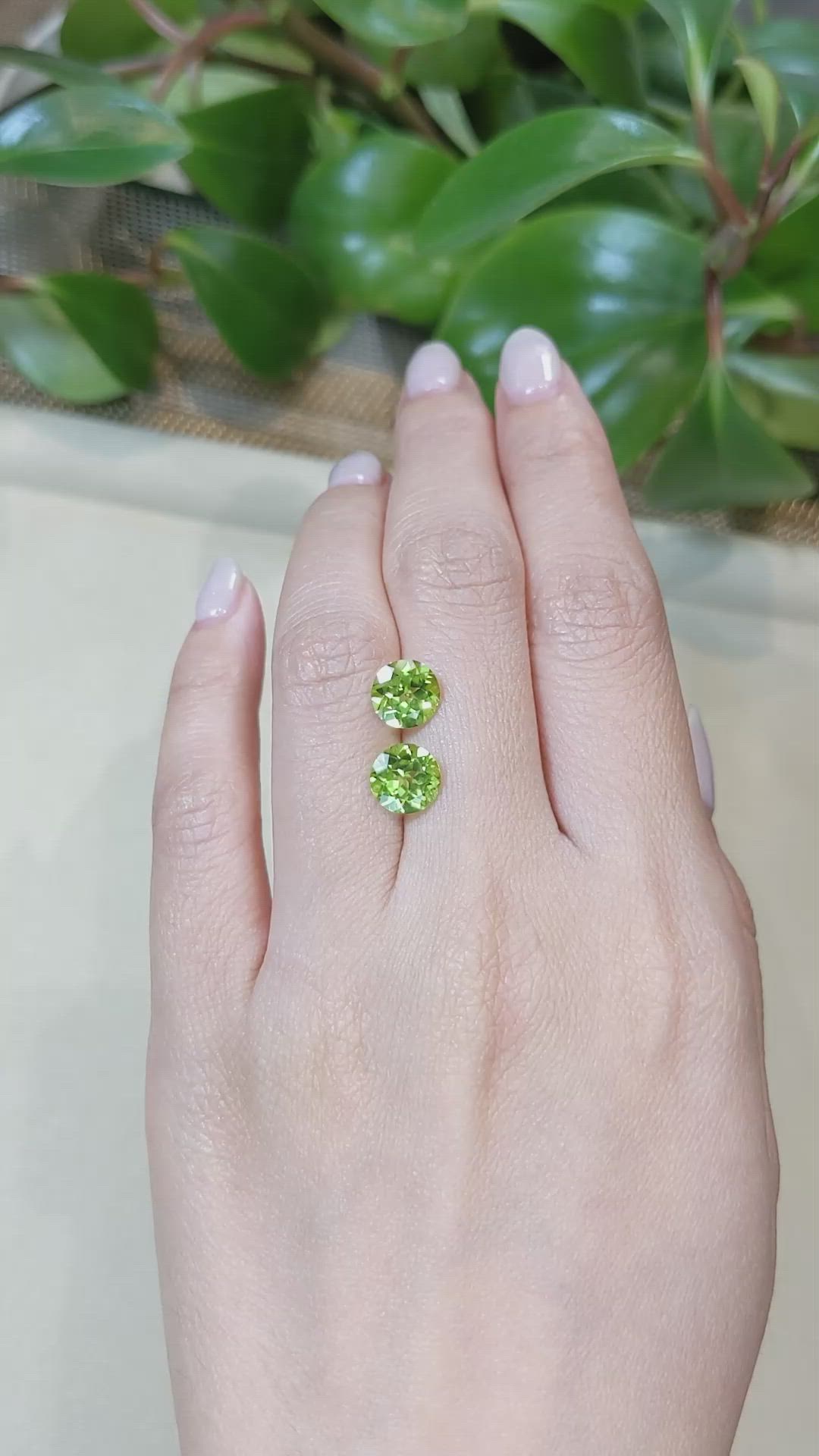 3.95&nbsp;Ct.Tw.Total Carat Weight Yellowish Green Peridot Pair from Burma (Myanmar) Size Video