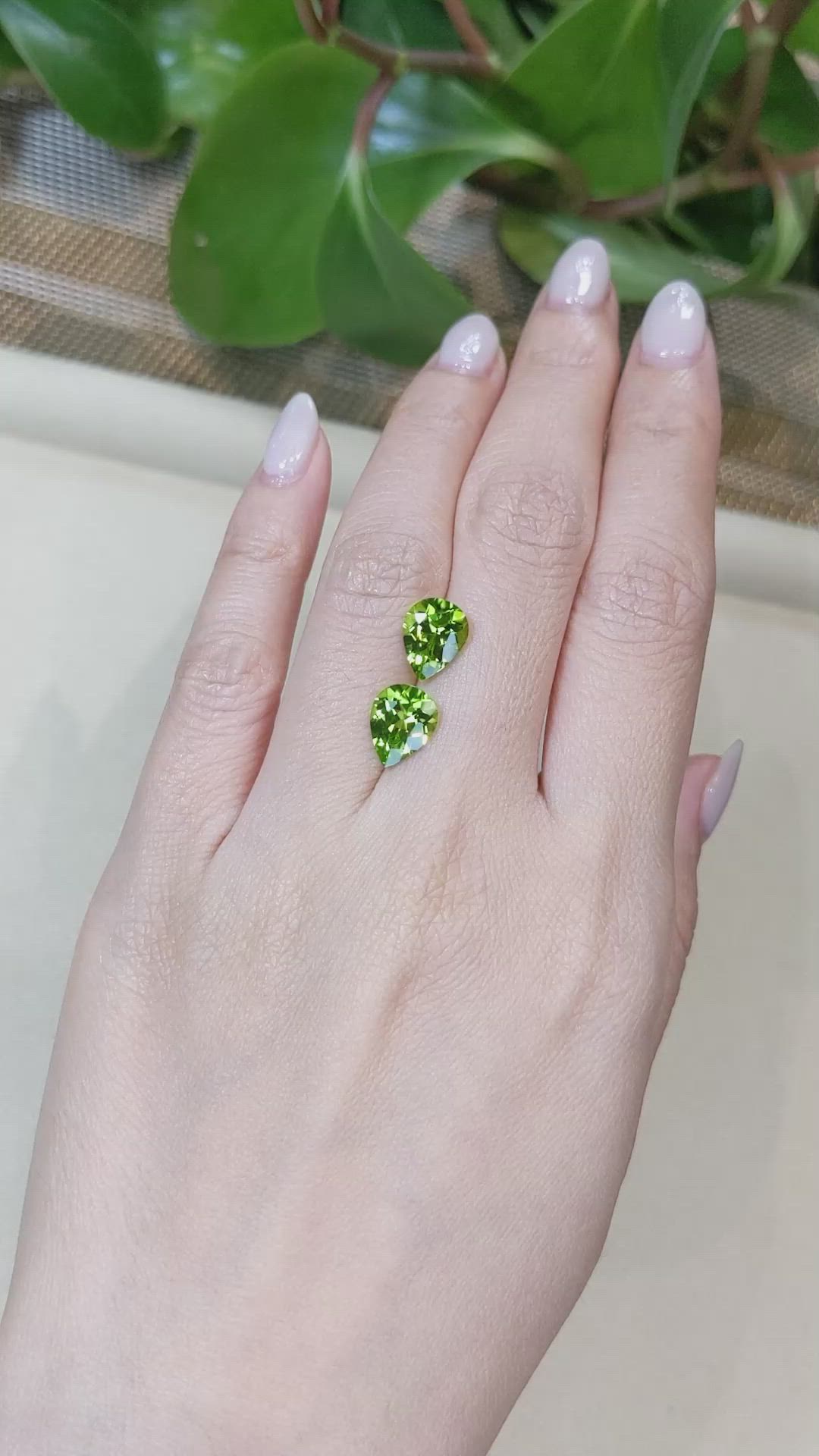 4.69&nbsp;Ct.Tw.Total Carat Weight Peridot Pair from Burma (Myanmar) Size Video