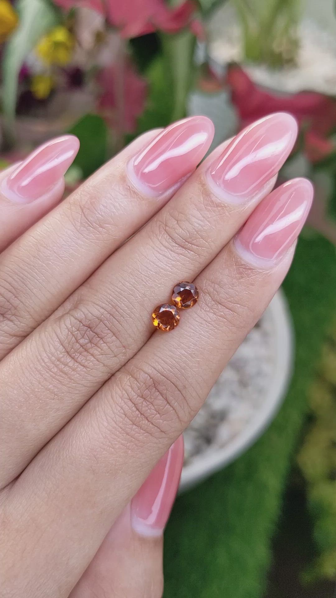 0.80&nbsp;Ct.Tw.Total Carat Weight Citrine Pair from Ceylon (Sri Lanka) Size Video