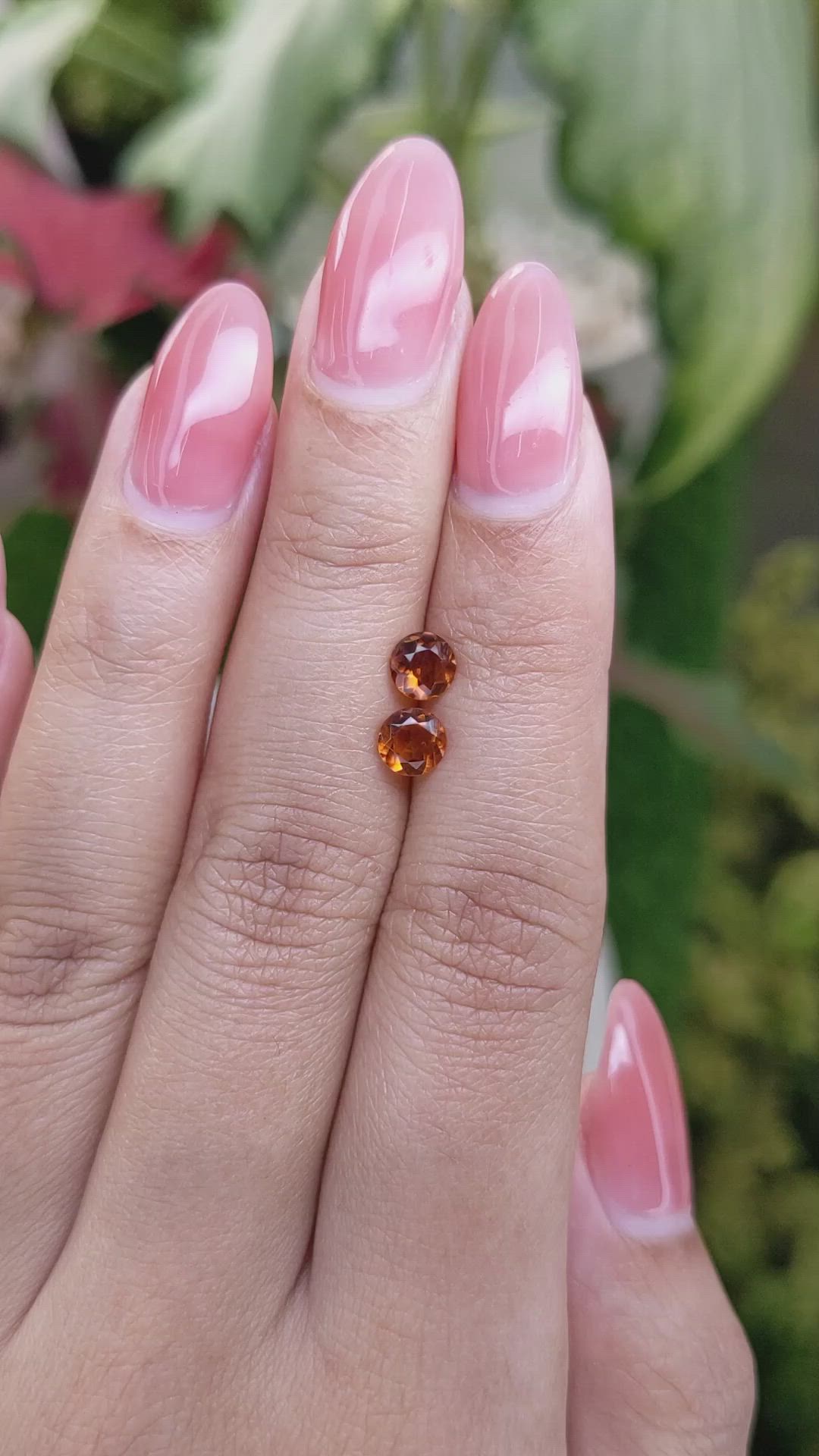 0.80&nbsp;Ct.Tw.Total Carat Weight Citrine Pair from Ceylon (Sri Lanka) Size Video