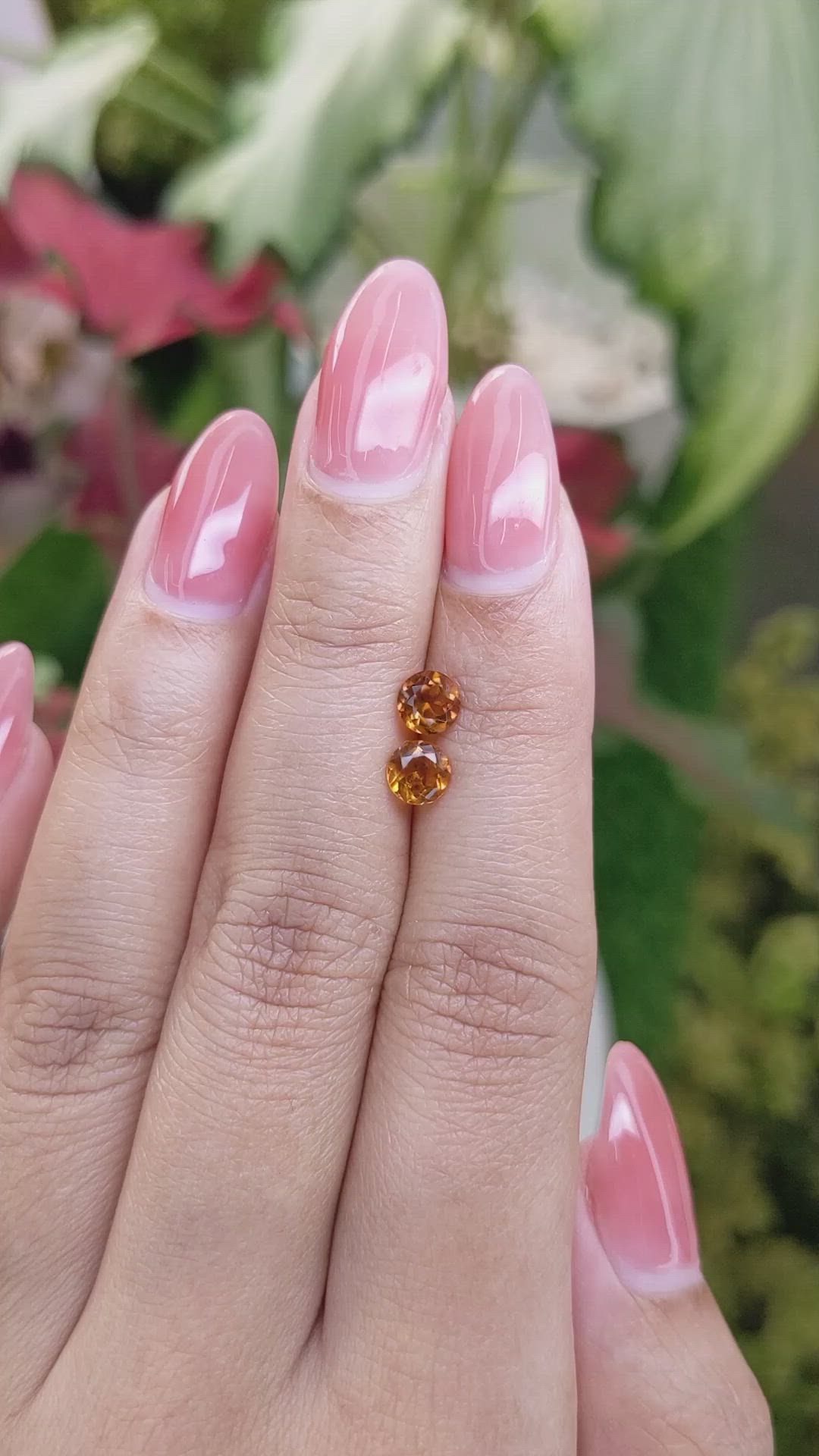 0.91&nbsp;Ct.Tw.Total Carat Weight Citrine Pair from Ceylon (Sri Lanka) Size Video