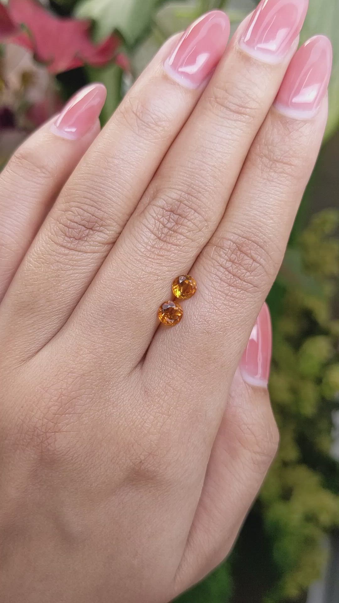 0.95&nbsp;Ct.Tw.Total Carat Weight Citrine Pair from Ceylon (Sri Lanka) Size Video