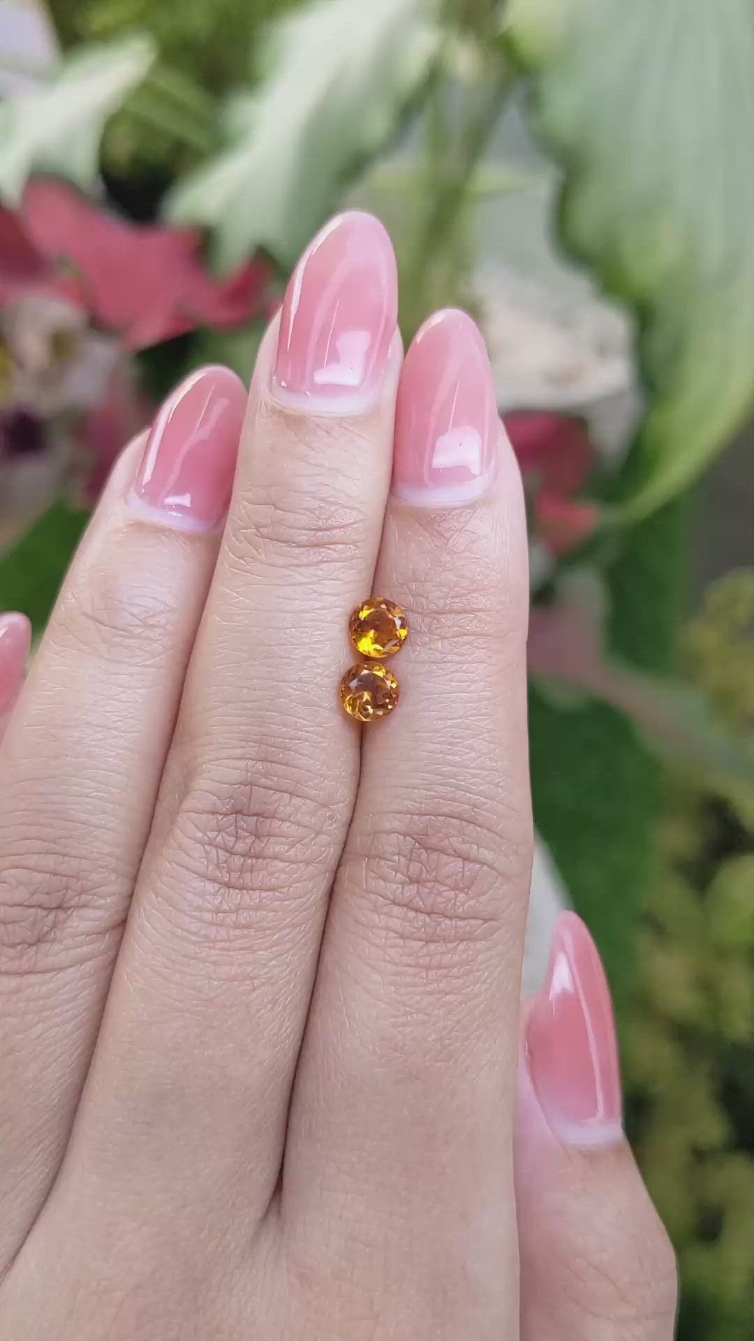 0.94&nbsp;Ct.Tw.Total Carat Weight Citrine Pair from Ceylon (Sri Lanka) Size Video