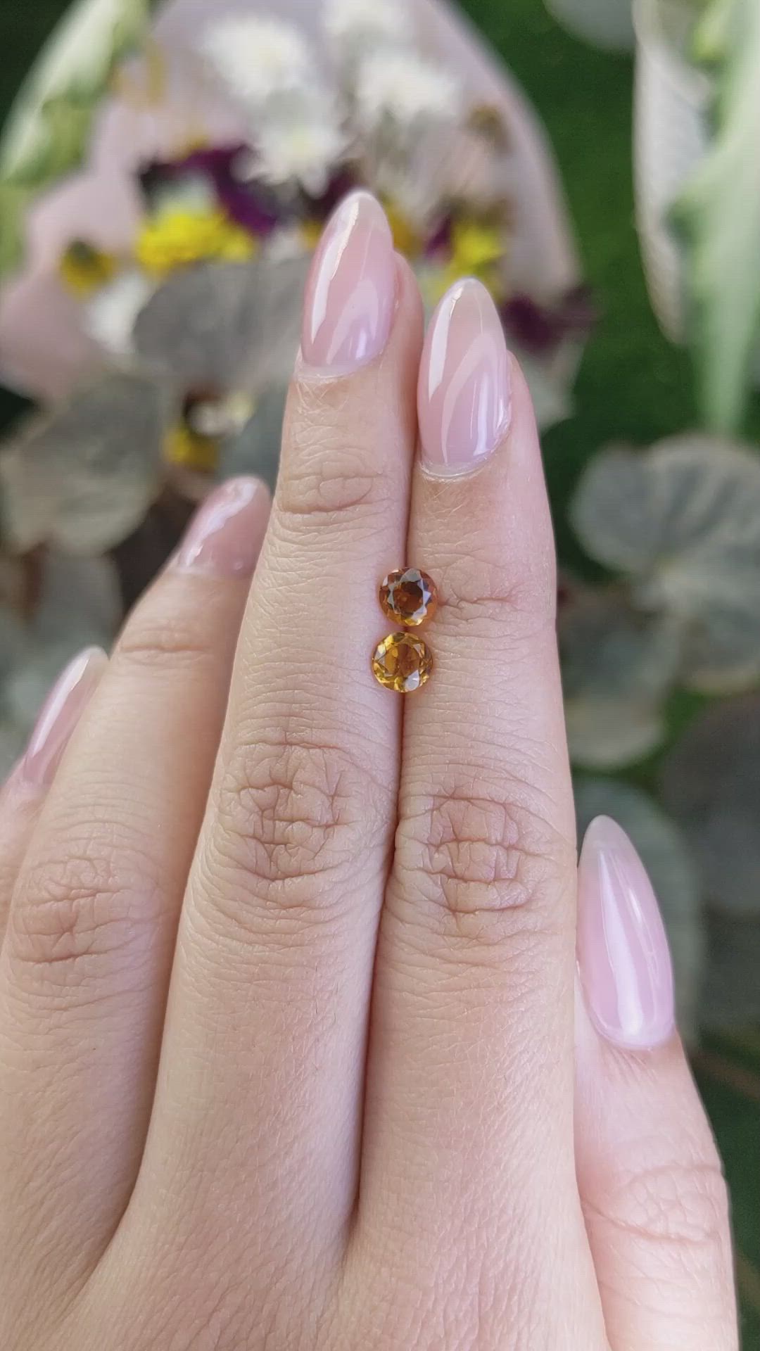 0.87&nbsp;Ct.Tw.Total Carat Weight Citrine Pair from Ceylon (Sri Lanka) Size Video