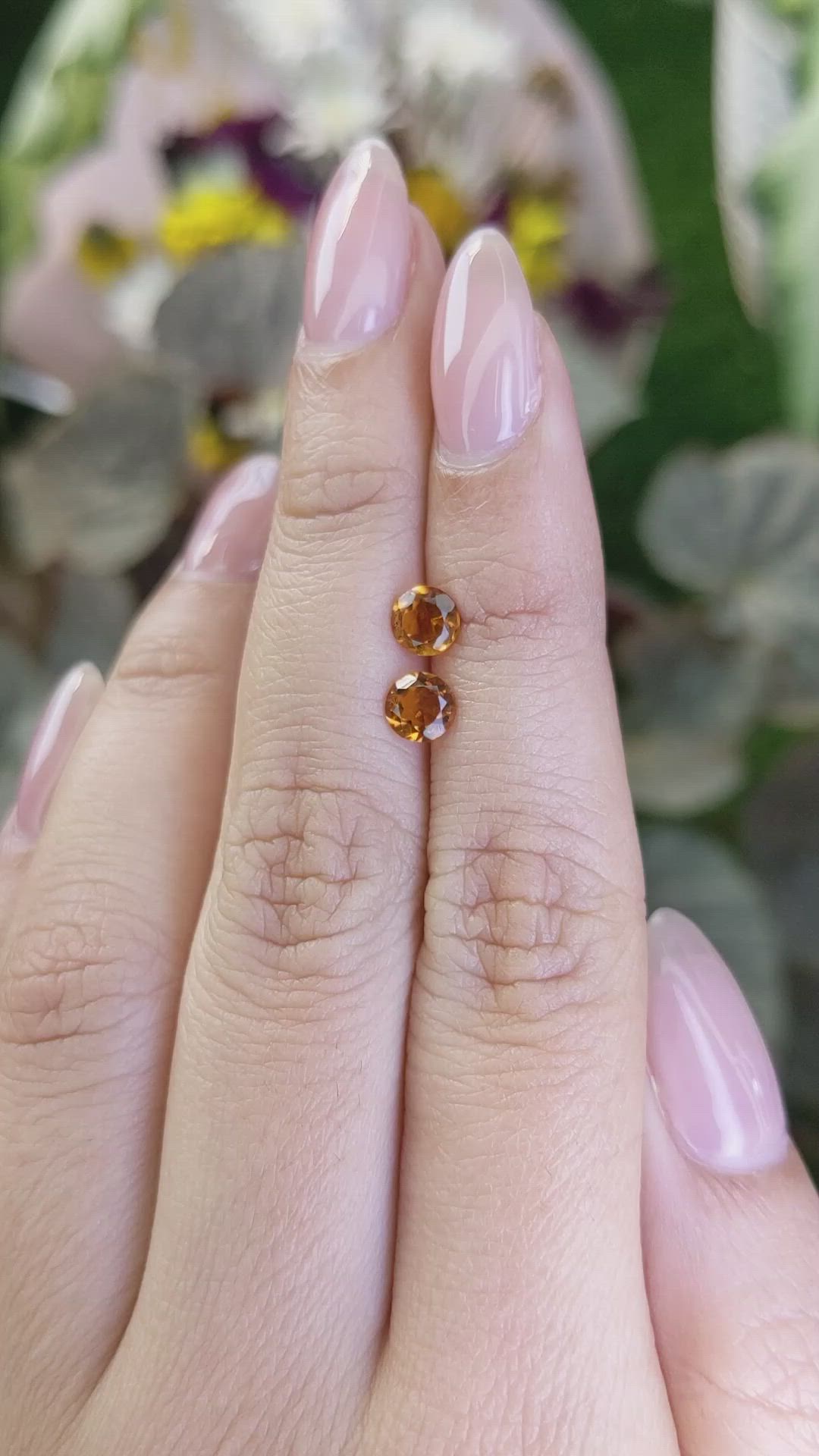 0.85&nbsp;Ct.Tw.Total Carat Weight Citrine Pair from Ceylon (Sri Lanka) Size Video