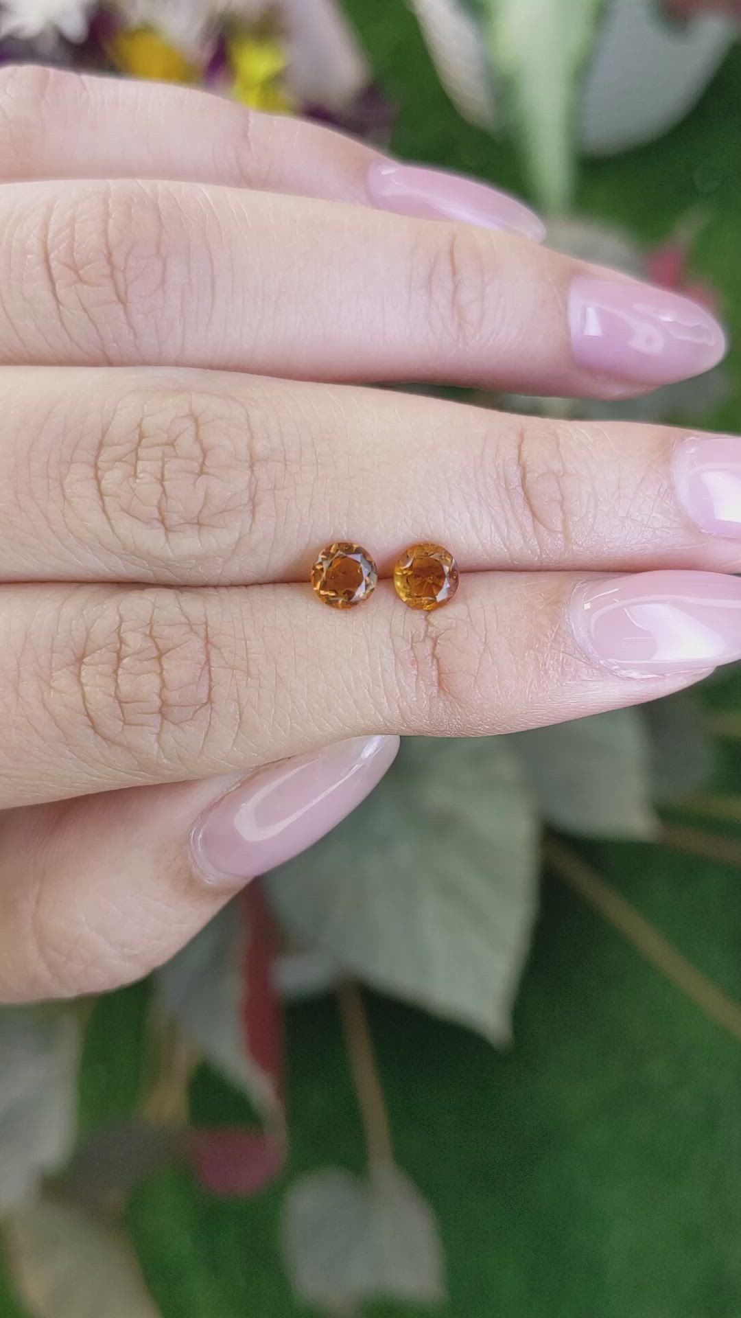 0.85&nbsp;Ct.Tw.Total Carat Weight Citrine Pair from Ceylon (Sri Lanka) Size Video