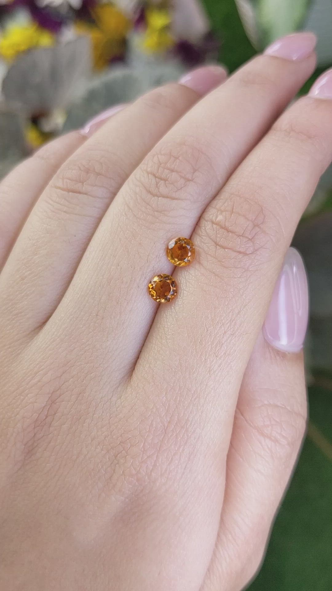 0.85&nbsp;Ct.Tw.Total Carat Weight Citrine Pair from Ceylon (Sri Lanka) Size Video