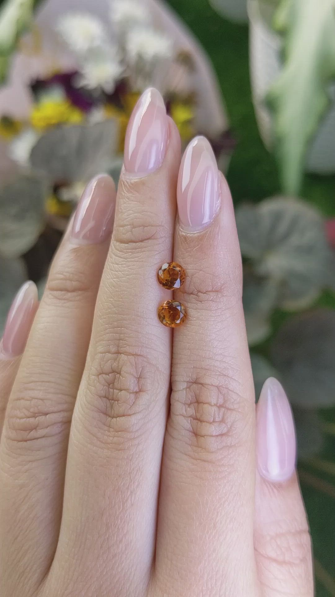 0.99&nbsp;Ct.Tw.Total Carat Weight Citrine Pair from Ceylon (Sri Lanka) Size Video