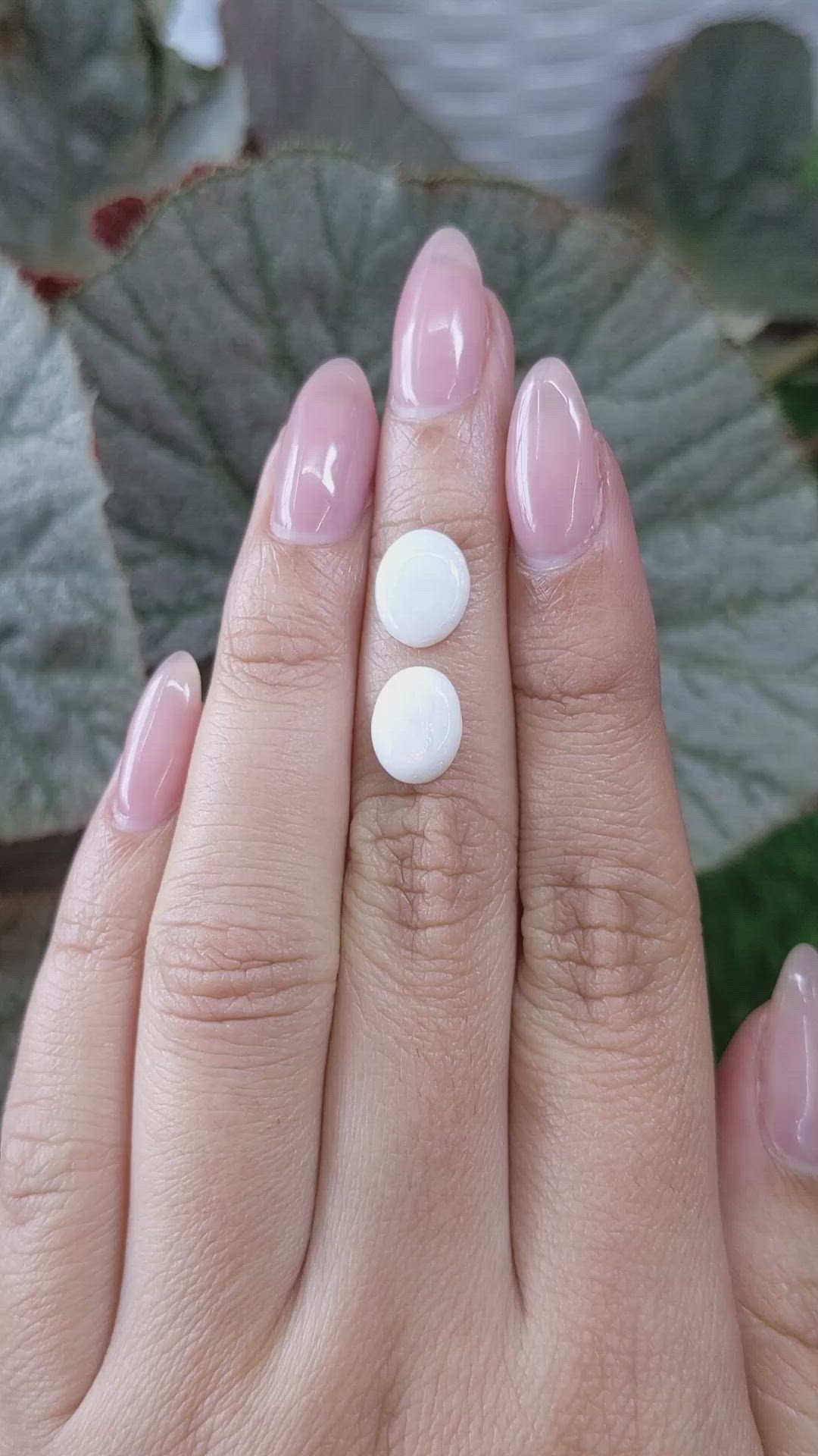 2.78&nbsp;Ct.Tw.Total Carat Weight Cabochon Opal Pair from Brazil Size Video