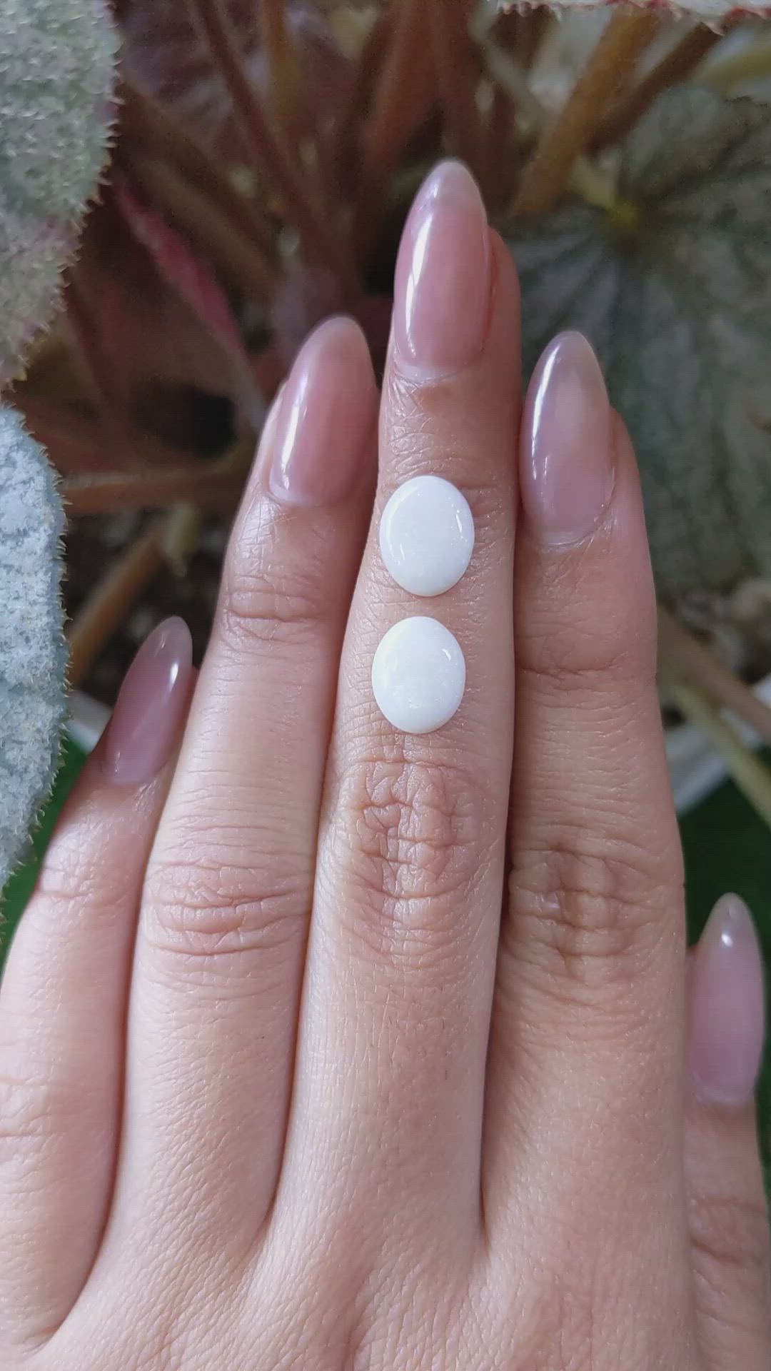 2.98&nbsp;Ct.Tw.Total Carat Weight Cabochon Opal Pair from Brazil Size Video