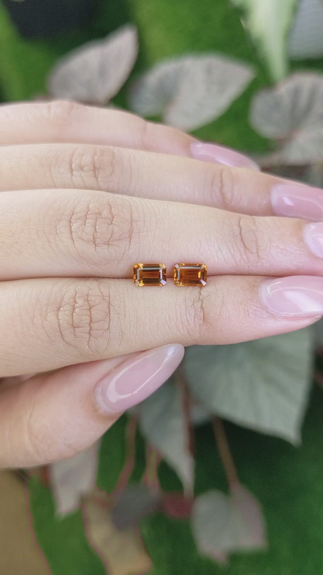 1.06&nbsp;Ct.Tw.Total Carat Weight Madeira Citrine Pair from Brazil Size Video