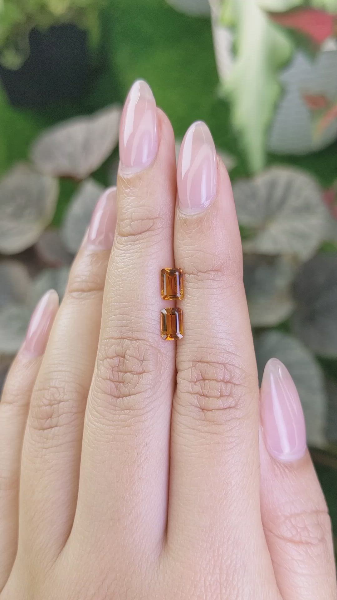 1.06&nbsp;Ct.Tw.Total Carat Weight Madeira Citrine Pair from Brazil Size Video