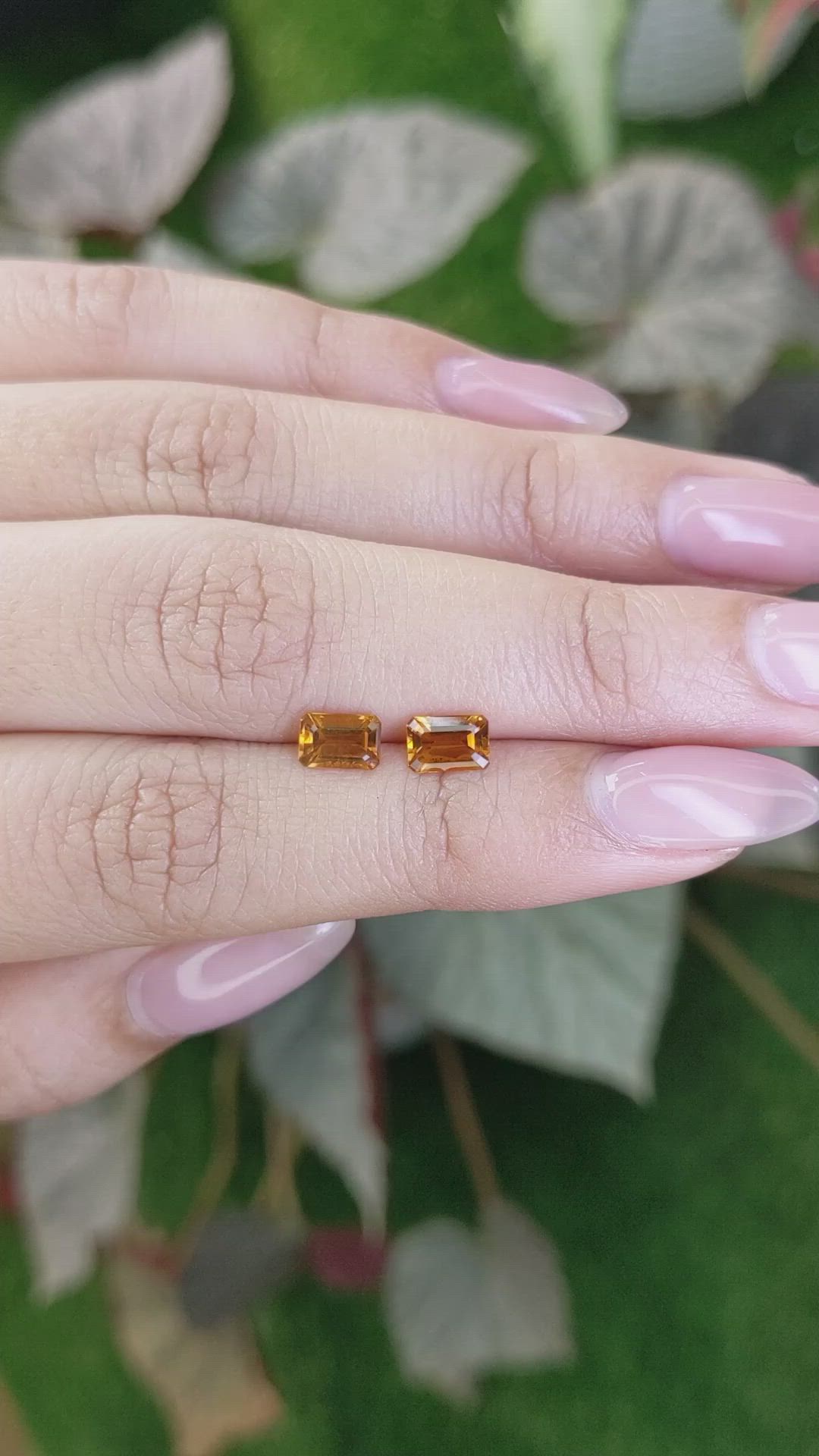 1.02&nbsp;Ct.Tw.Total Carat Weight Madeira Citrine Pair from Brazil Size Video