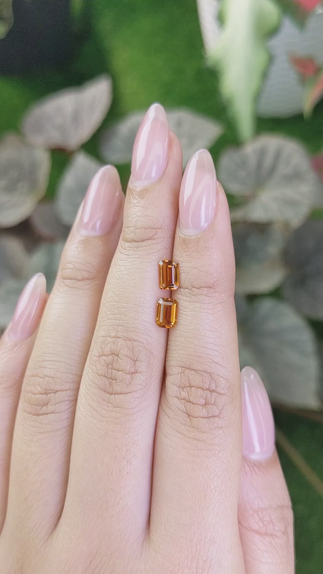 1.05&nbsp;Ct.Tw.Total Carat Weight Madeira Citrine Pair from Brazil Size Video