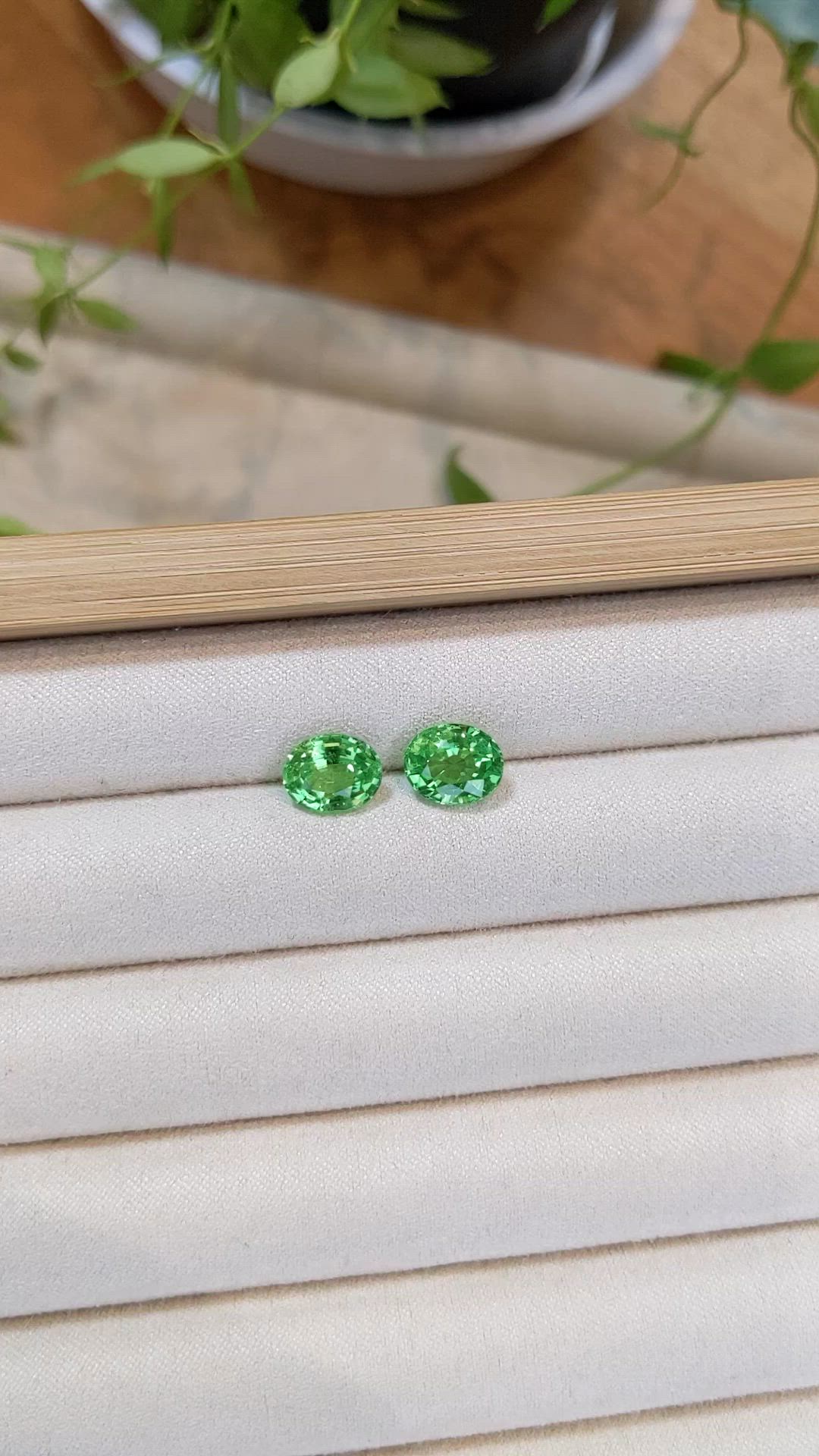 5.65&nbsp;Ct.Tw.Total Carat Weight Tsavorite Garnet Pair from Tanzania Size Video