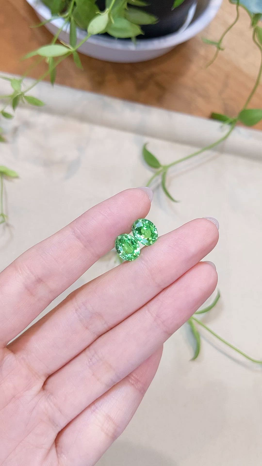 5.65&nbsp;Ct.Tw.Total Carat Weight Tsavorite Garnet Pair from Tanzania Size Video