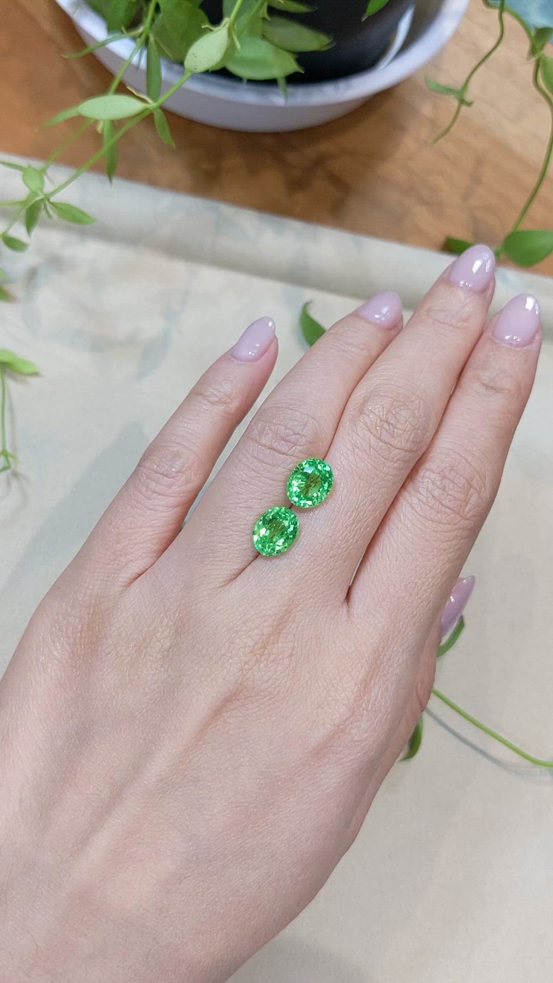 5.65&nbsp;Ct.Tw.Total Carat Weight Tsavorite Garnet Pair from Tanzania Size Video