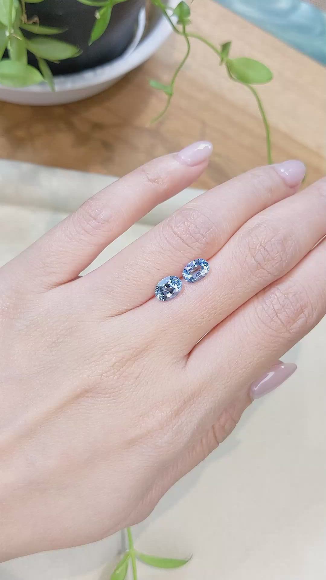 1.81&nbsp;Ct.Tw.Total Carat Weight Blue Aquamarine Pair from Brazil Size Video