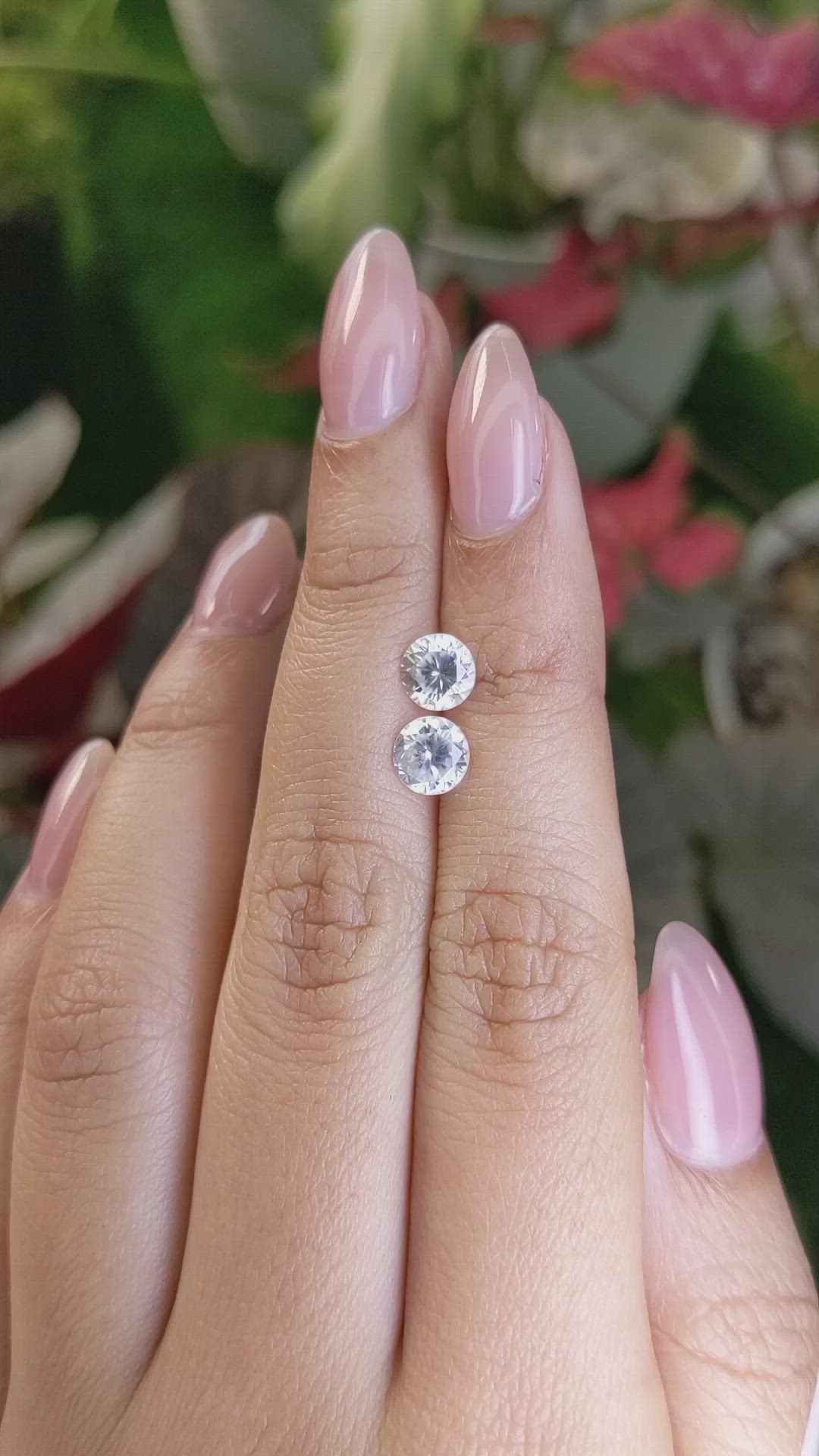 2.42 Ct.Tw.Total Carat Weight White Zircon Pair from Ceylon (Sri Lanka) Size Video