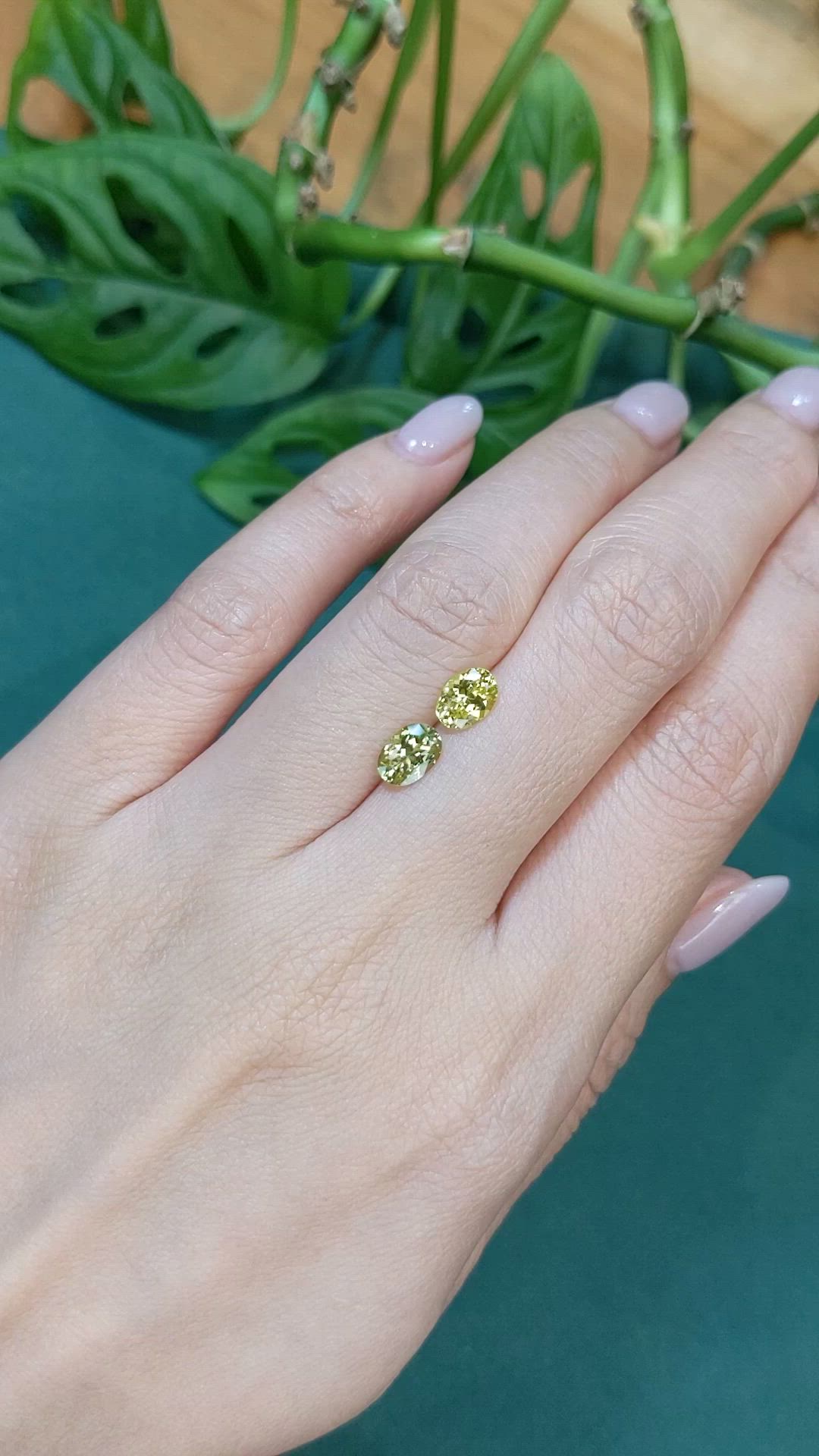 1.60&nbsp;Ct.Tw.Total Carat Weight Greenish Yellow Chrysoberyl Pair from Ceylon (Sri Lanka) Size Video