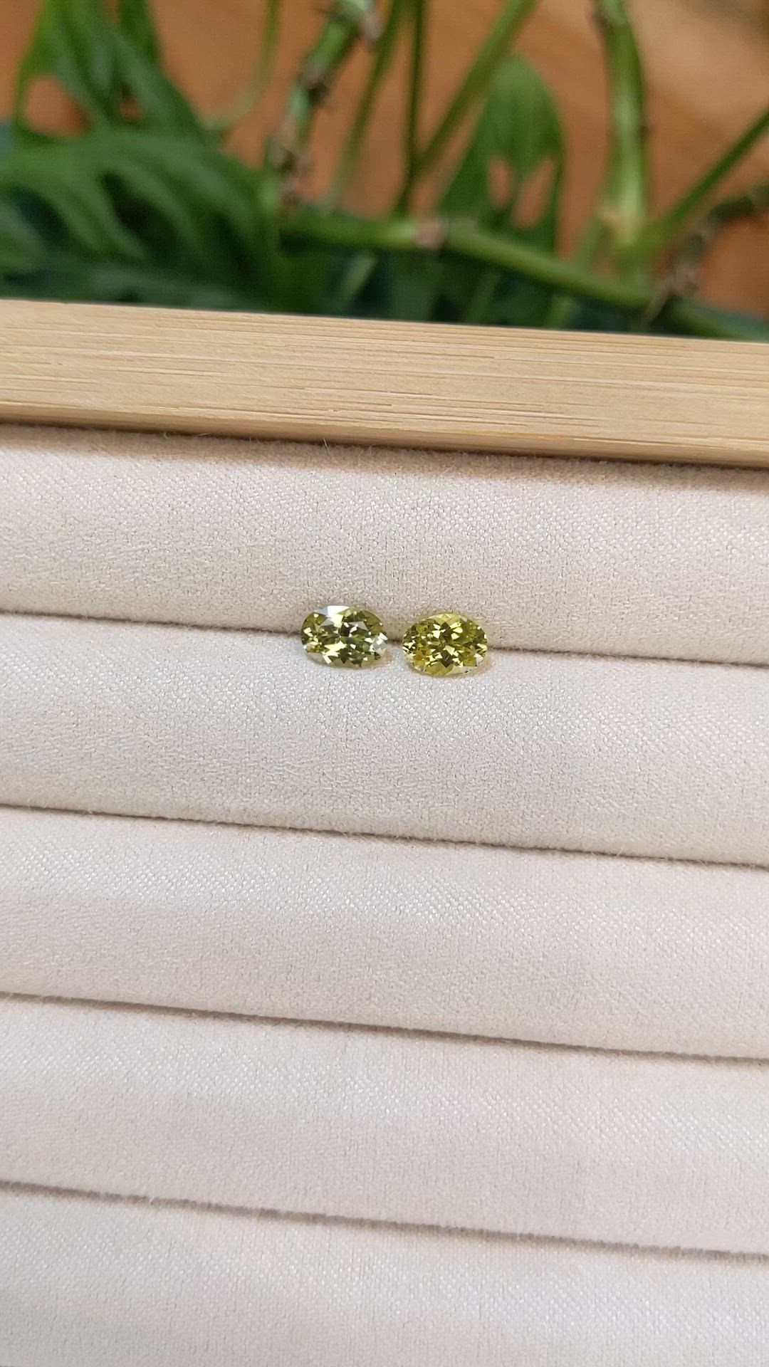 1.60&nbsp;Ct.Tw.Total Carat Weight Greenish Yellow Chrysoberyl Pair from Ceylon (Sri Lanka) Size Video