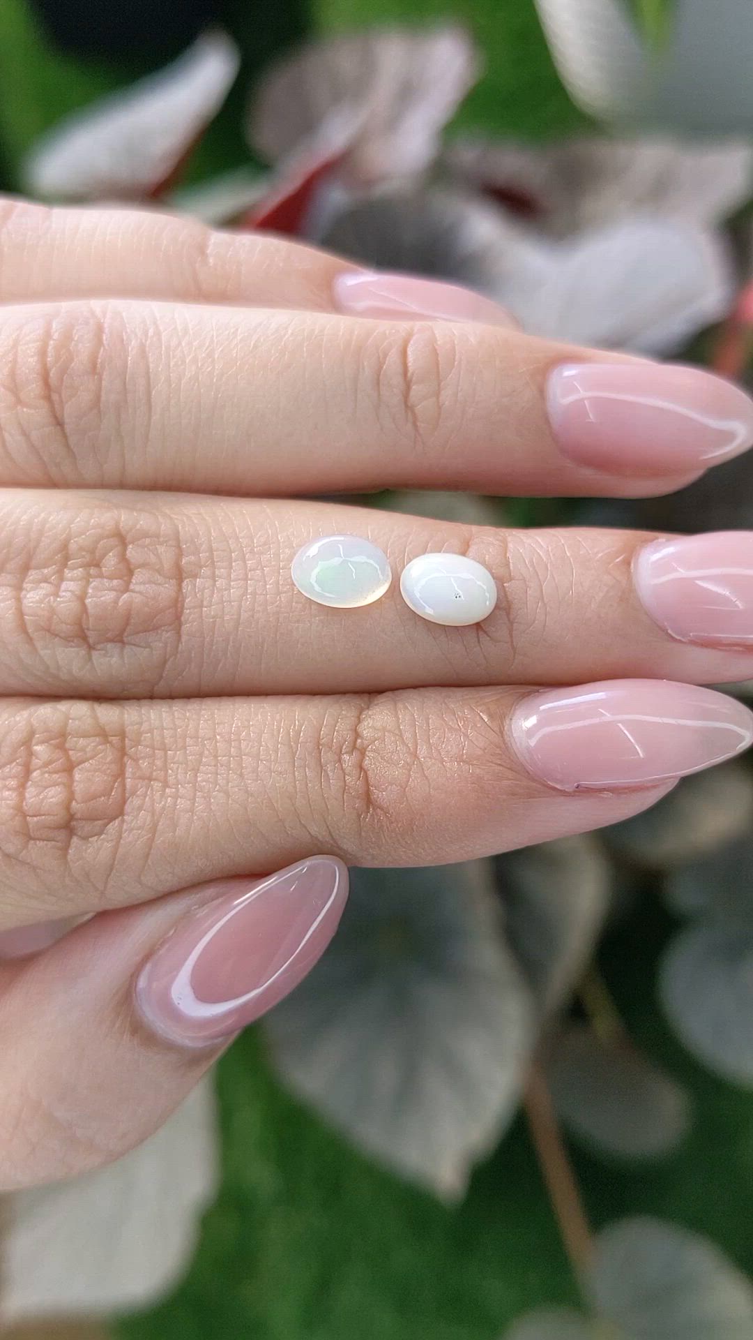 1.04&nbsp;Ct.Tw.Total Carat Weight Cabochon Opal Pair from Brazil Size Video