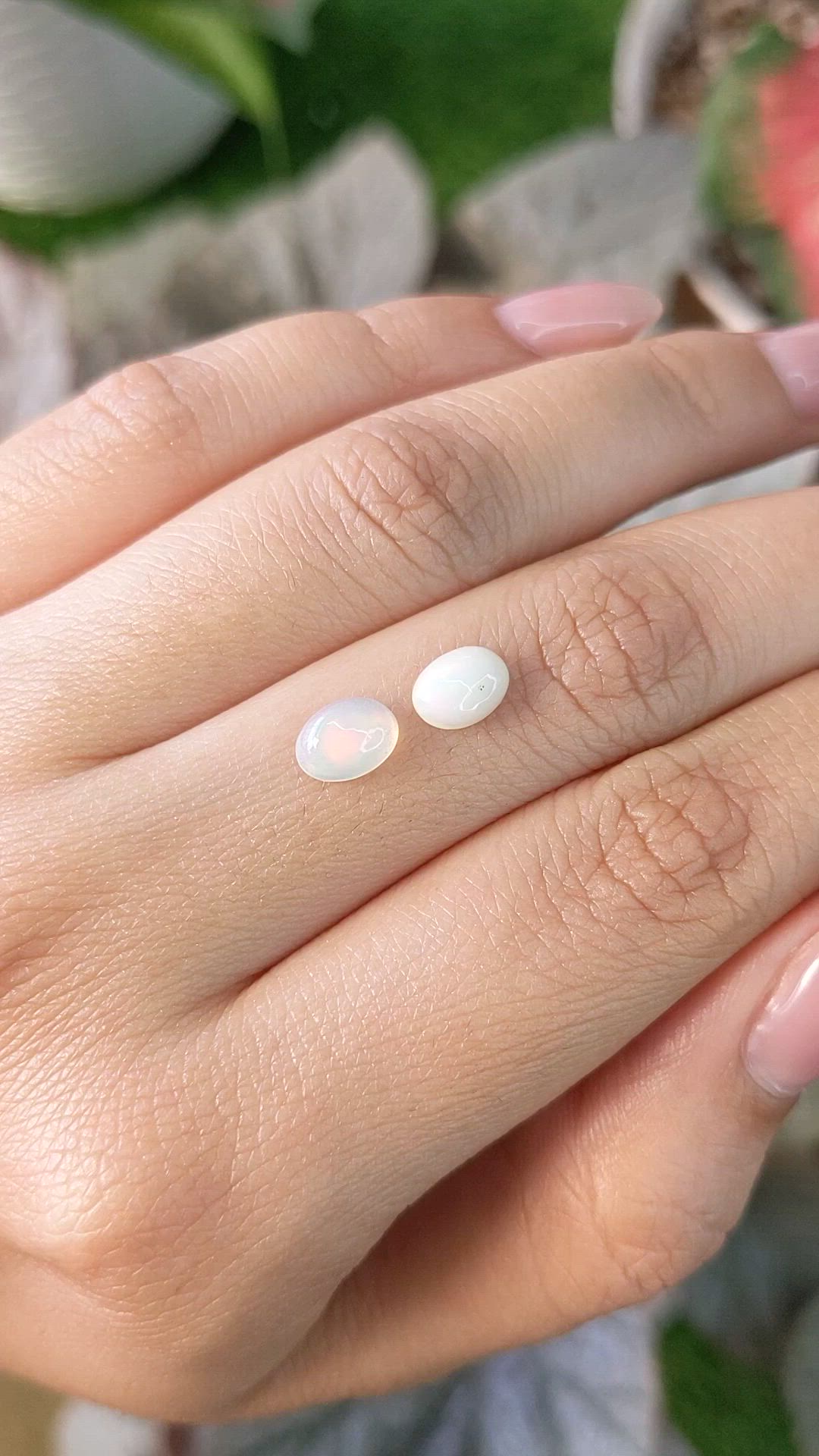 1.04&nbsp;Ct.Tw.Total Carat Weight Cabochon Opal Pair from Brazil Size Video