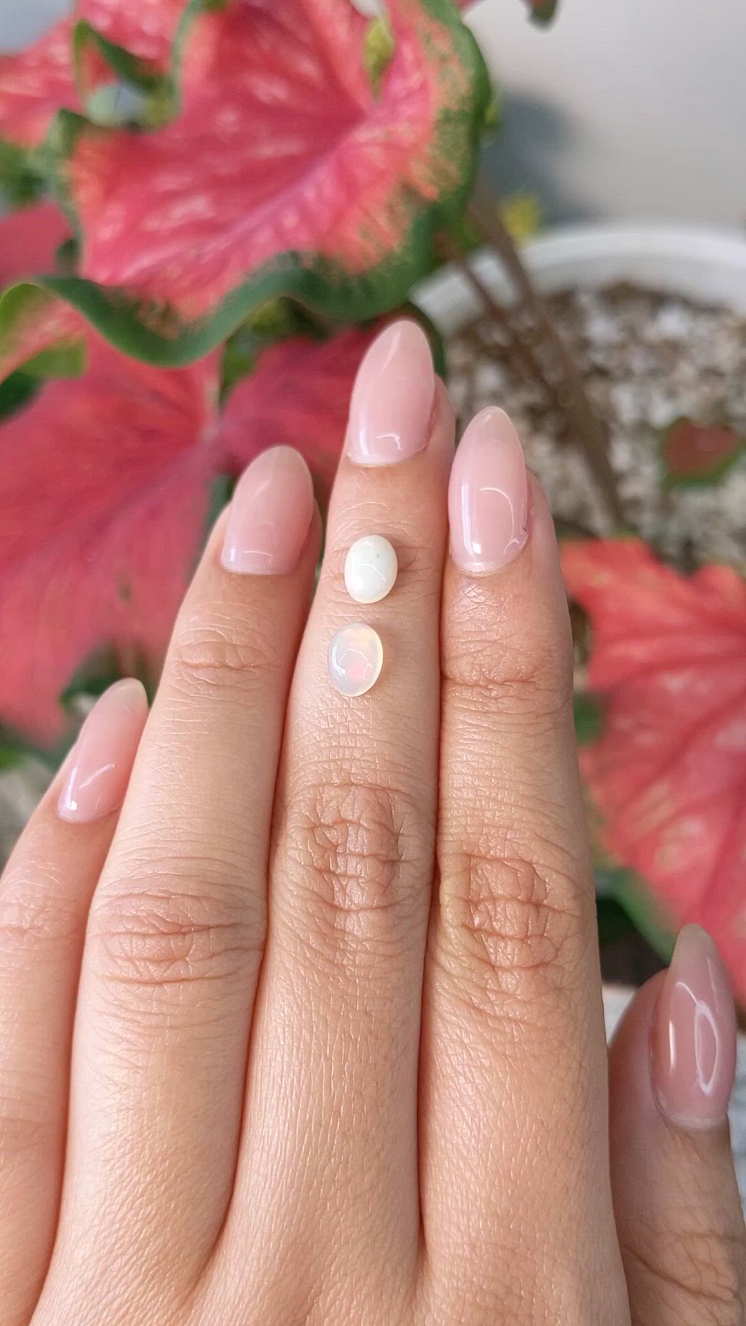 1.04&nbsp;Ct.Tw.Total Carat Weight Cabochon Opal Pair from Brazil Size Video