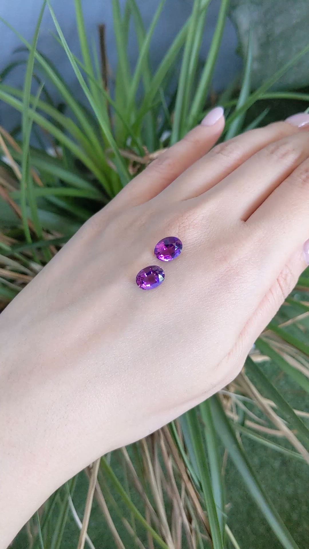 3.55&nbsp;Ct.Tw.Total Carat Weight Purple Amethyst Pair from Brazil Size Video