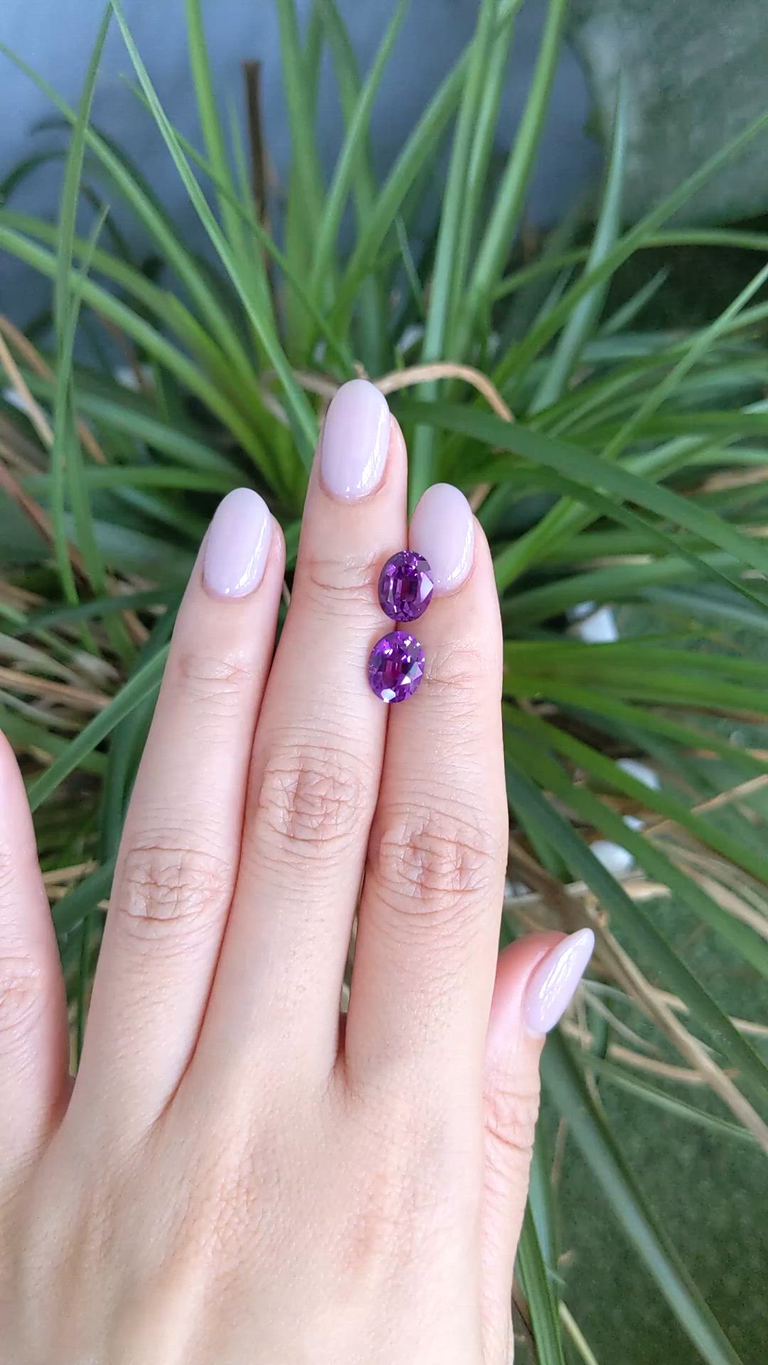 3.55&nbsp;Ct.Tw.Total Carat Weight Purple Amethyst Pair from Brazil Size Video
