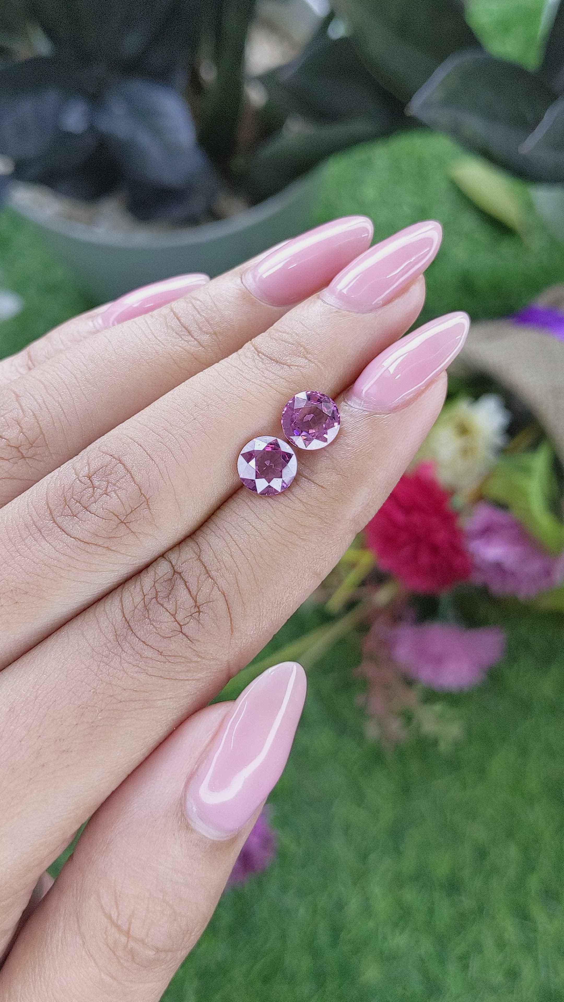 3.18&nbsp;Ct.Tw.Total Carat Weight Purplish Pink Rhodolite Garnet Pair from Ceylon (Sri Lanka) Size Video