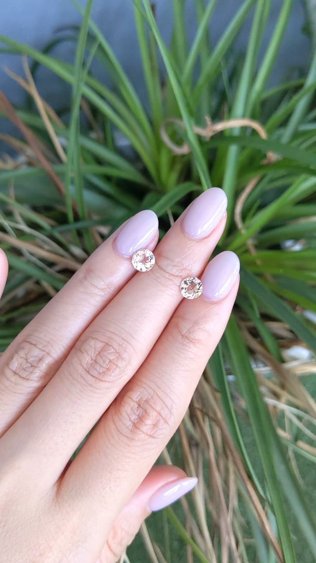 1.33&nbsp;Ct.Tw.Total Carat Weight Peach Morganite Pair from Brazil Size Video