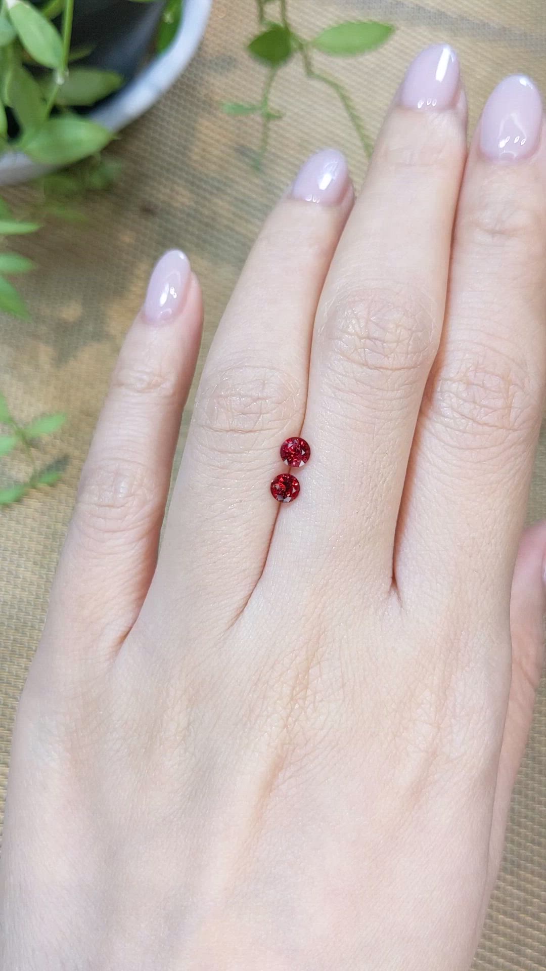 0.60 Ct.Tw.Total Carat Weight Red Spinel Pair from Burma (Myanmar) Size Video