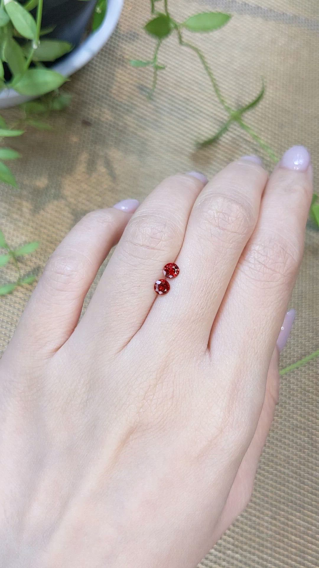 0.55 Ct.Tw.Total Carat Weight Purplish Red Spinel Pair from Burma (Myanmar) Size Video