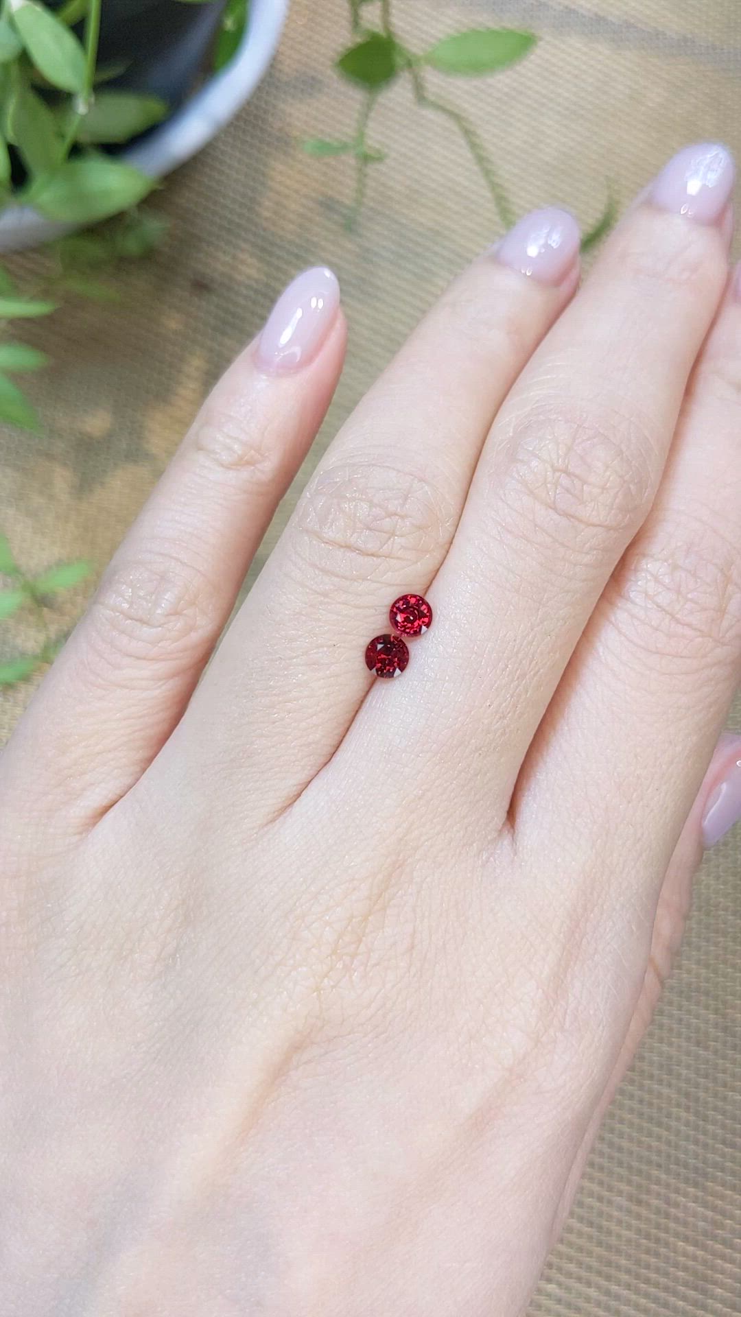 0.55 Ct.Tw.Total Carat Weight Red Spinel Pair from Burma (Myanmar) Size Video