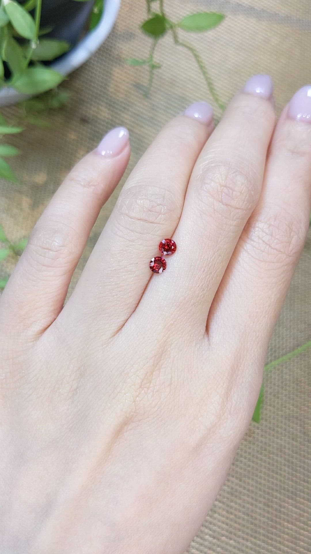0.50&nbsp;Ct.Tw.Total Carat Weight Red Spinel Pair from Burma (Myanmar) Size Video