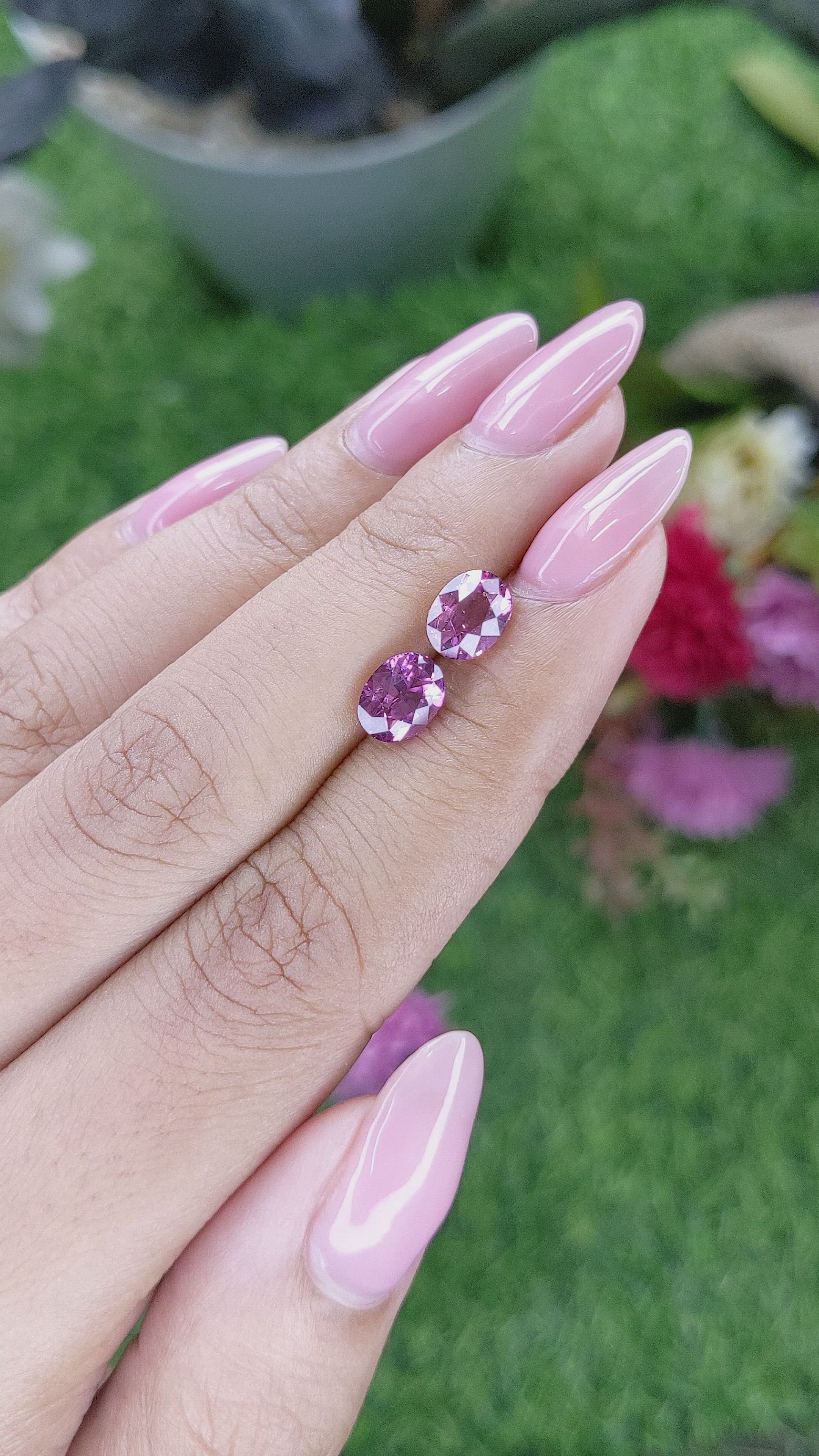 3.20 Ct.Tw.Total Carat Weight Purplish Pink Rhodolite Garnet Pair from Ceylon (Sri Lanka) Size Video