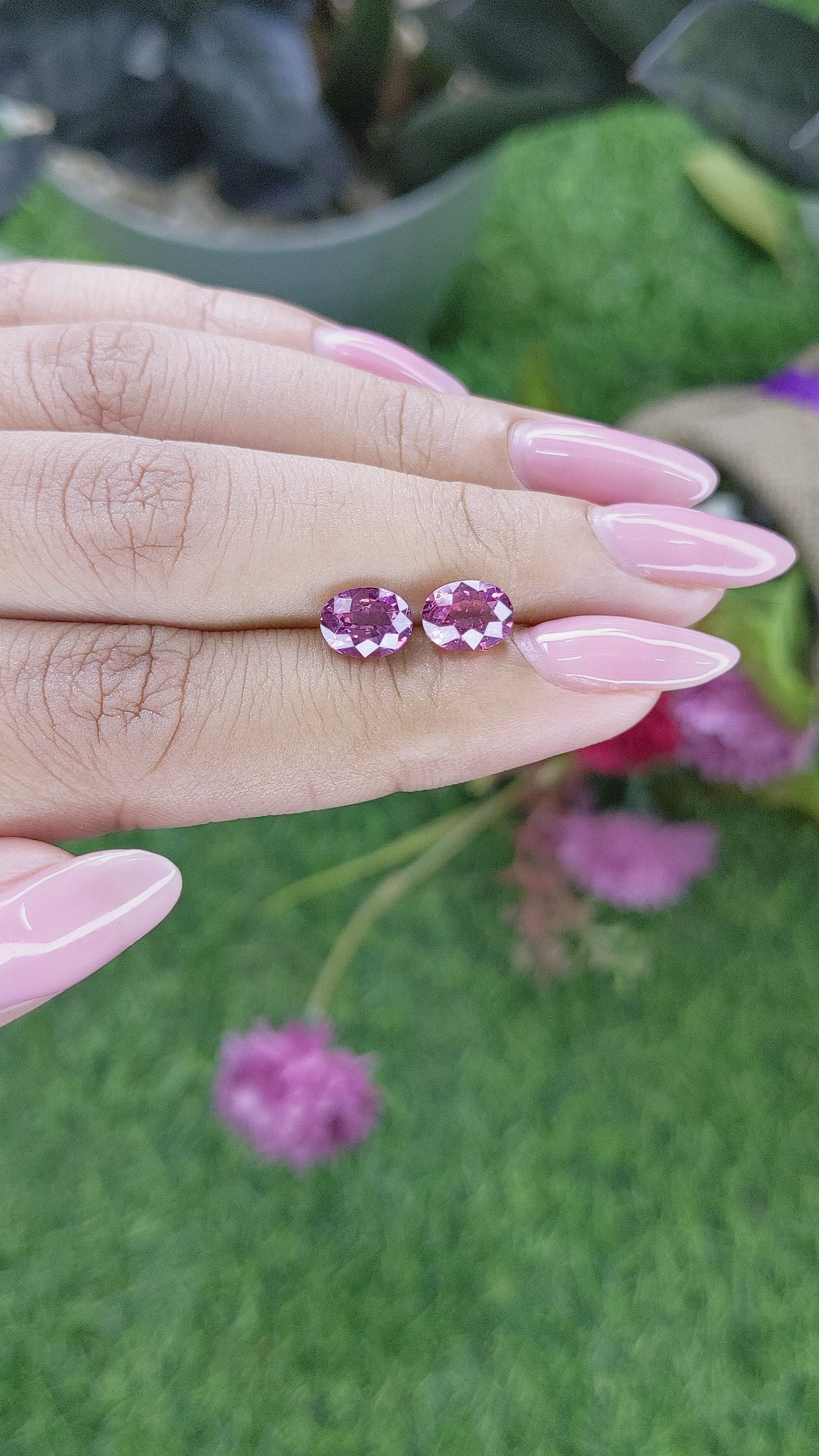 3.20 Ct.Tw.Total Carat Weight Purplish Pink Rhodolite Garnet Pair from Ceylon (Sri Lanka) Size Video