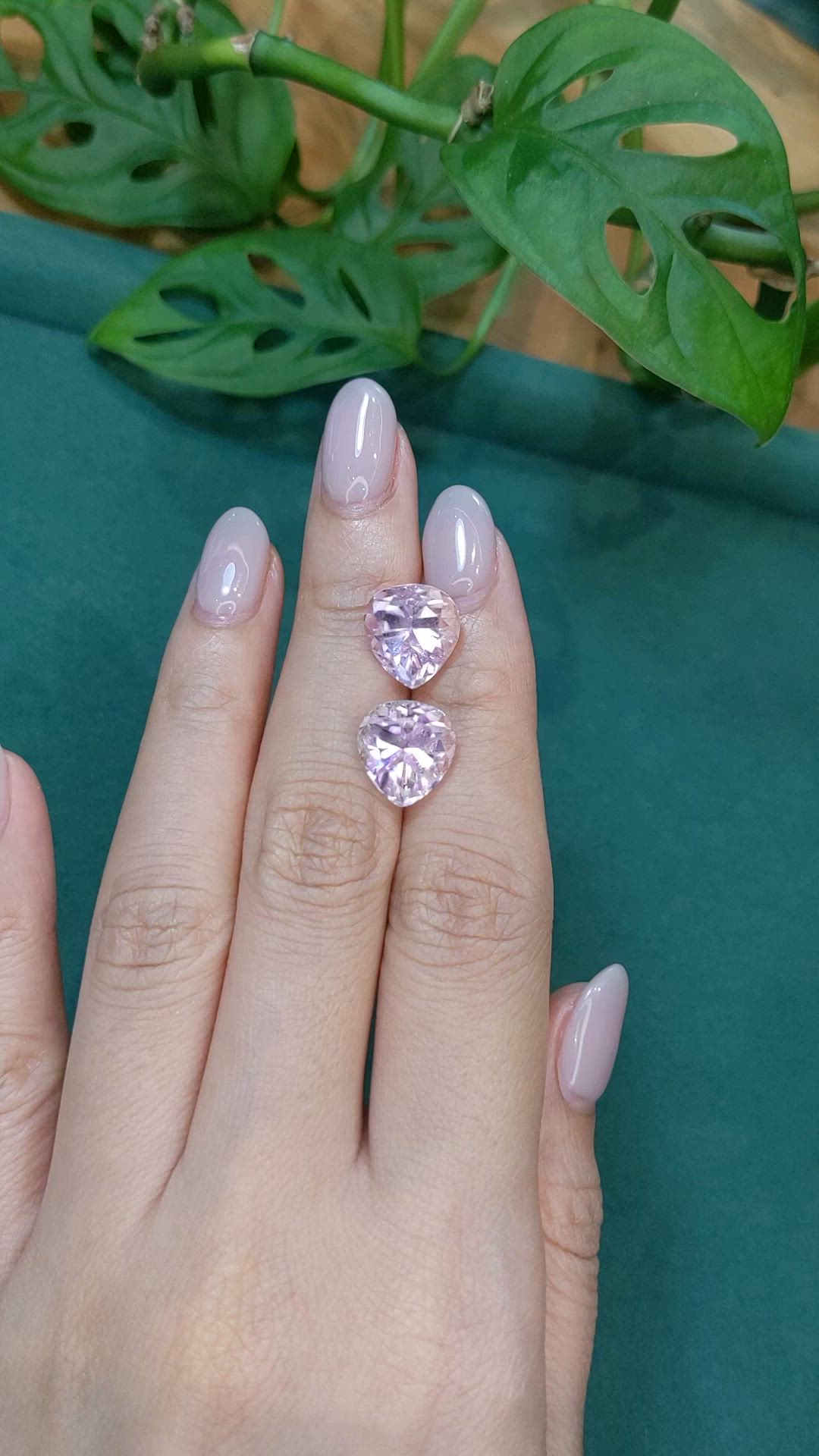 12.75&nbsp;Ct.Tw.Total Carat Weight Pink Kunzite Pair from Afghanistan Size Video