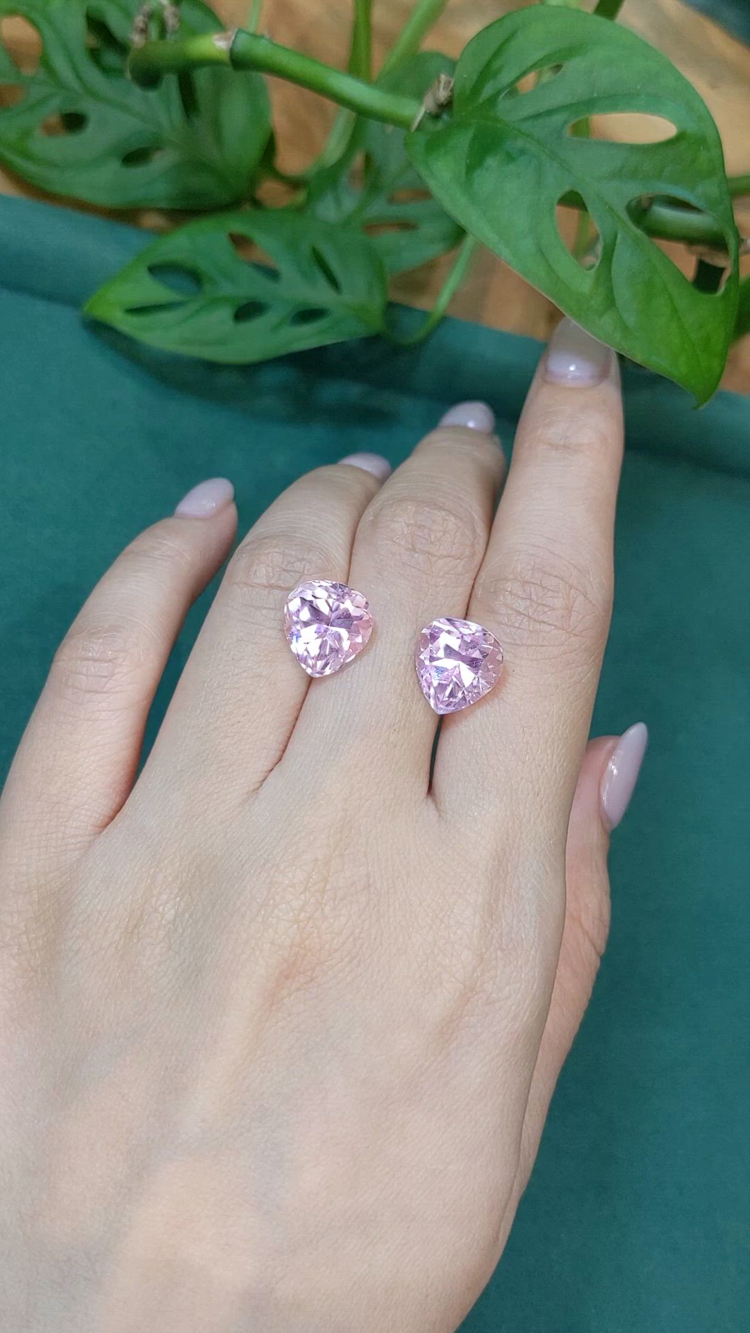 12.75&nbsp;Ct.Tw.Total Carat Weight Pink Kunzite Pair from Afghanistan Size Video