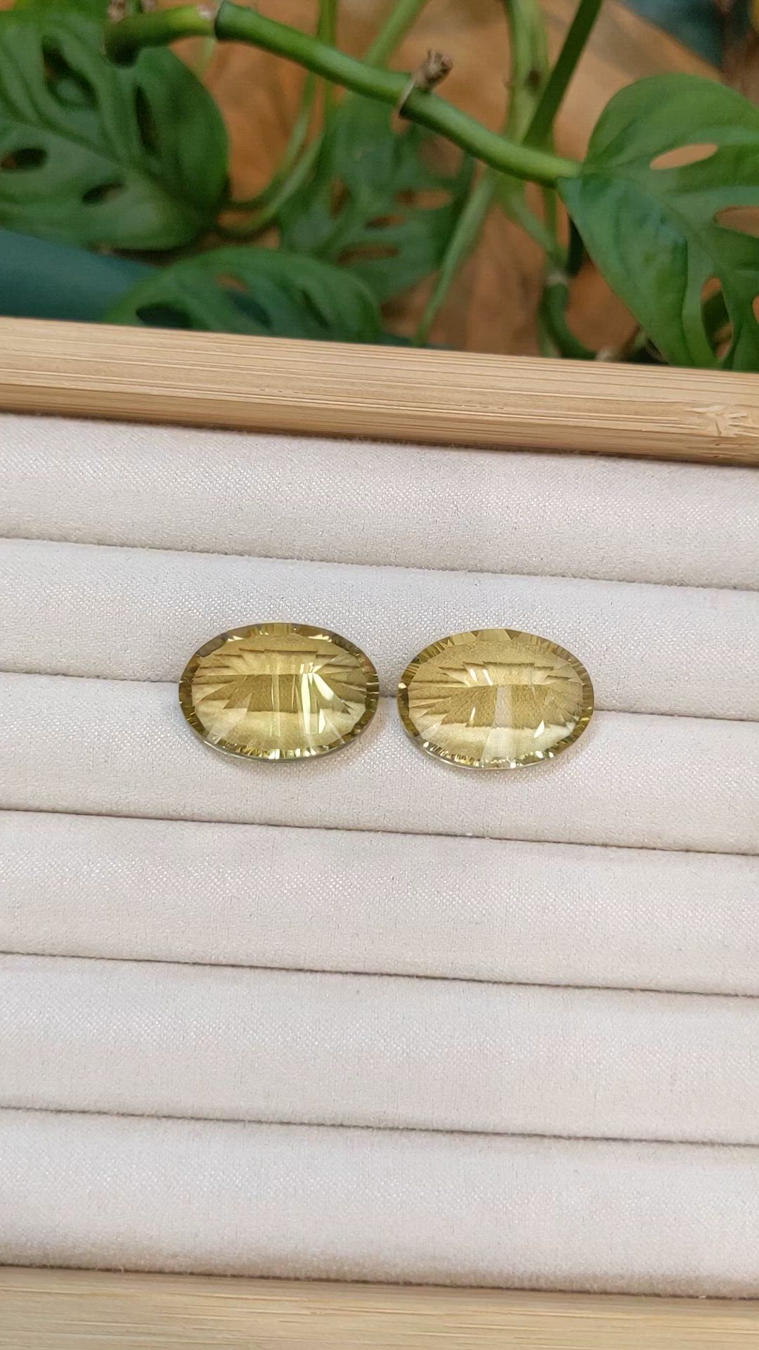 35.45&nbsp;Ct.Tw.Total Carat Weight Yellowish Brown Citrine Pair from Brazil Size Video