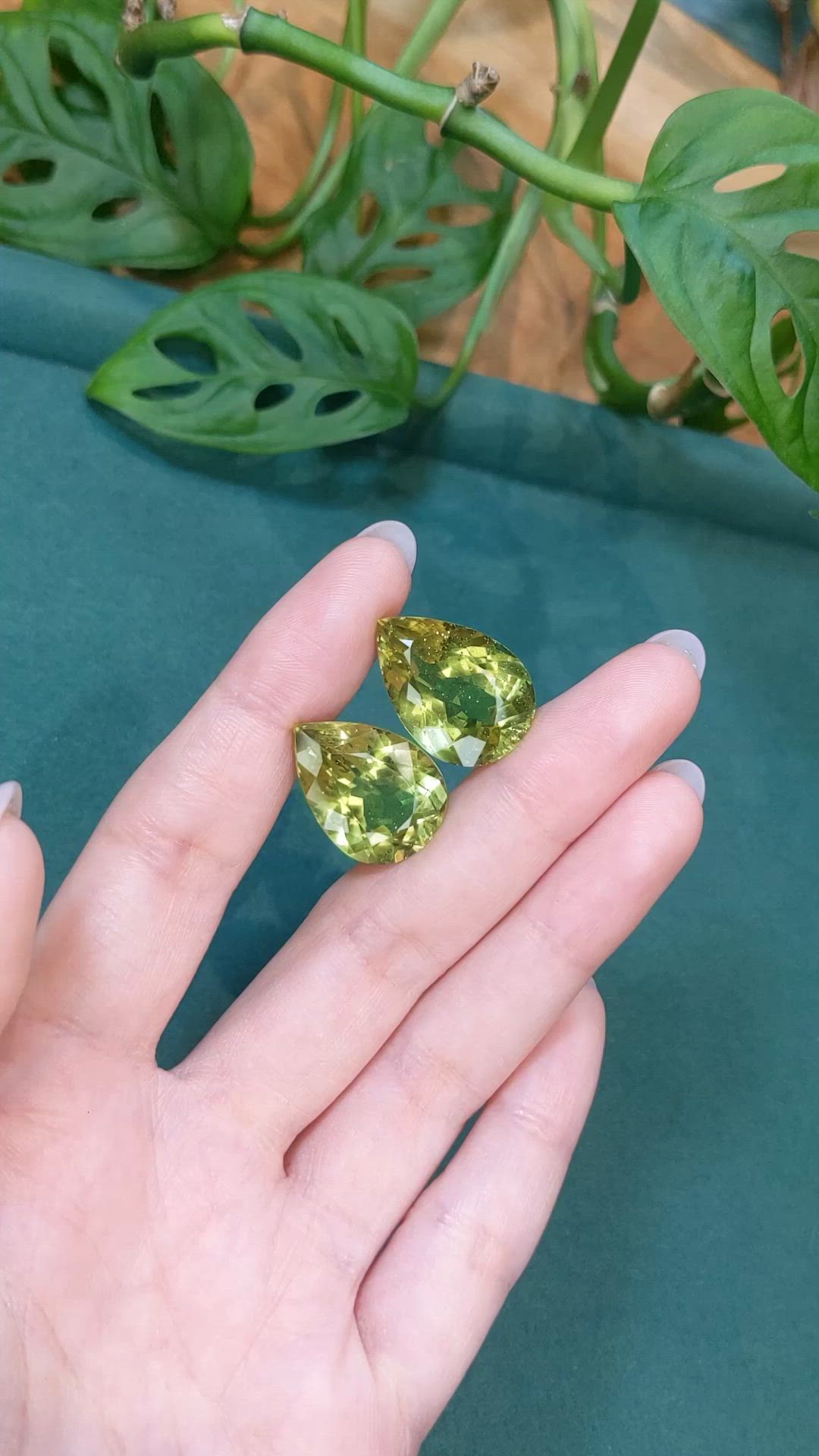 43.87&nbsp;Ct.Tw.Total Carat Weight Yellowish Green Apatite Pair from Madagascar Size Video